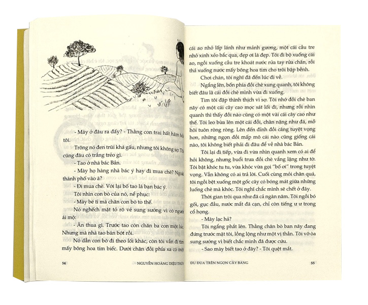 Đu Đưa Trên Ngọn Cây Bàng