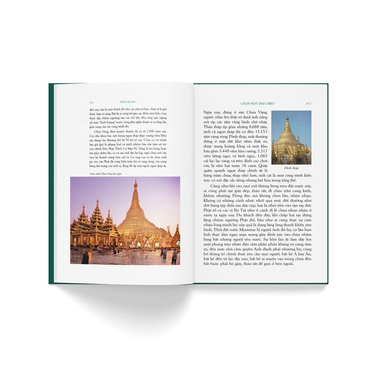 du ký phan quang - tiếc nuối hoa hồng