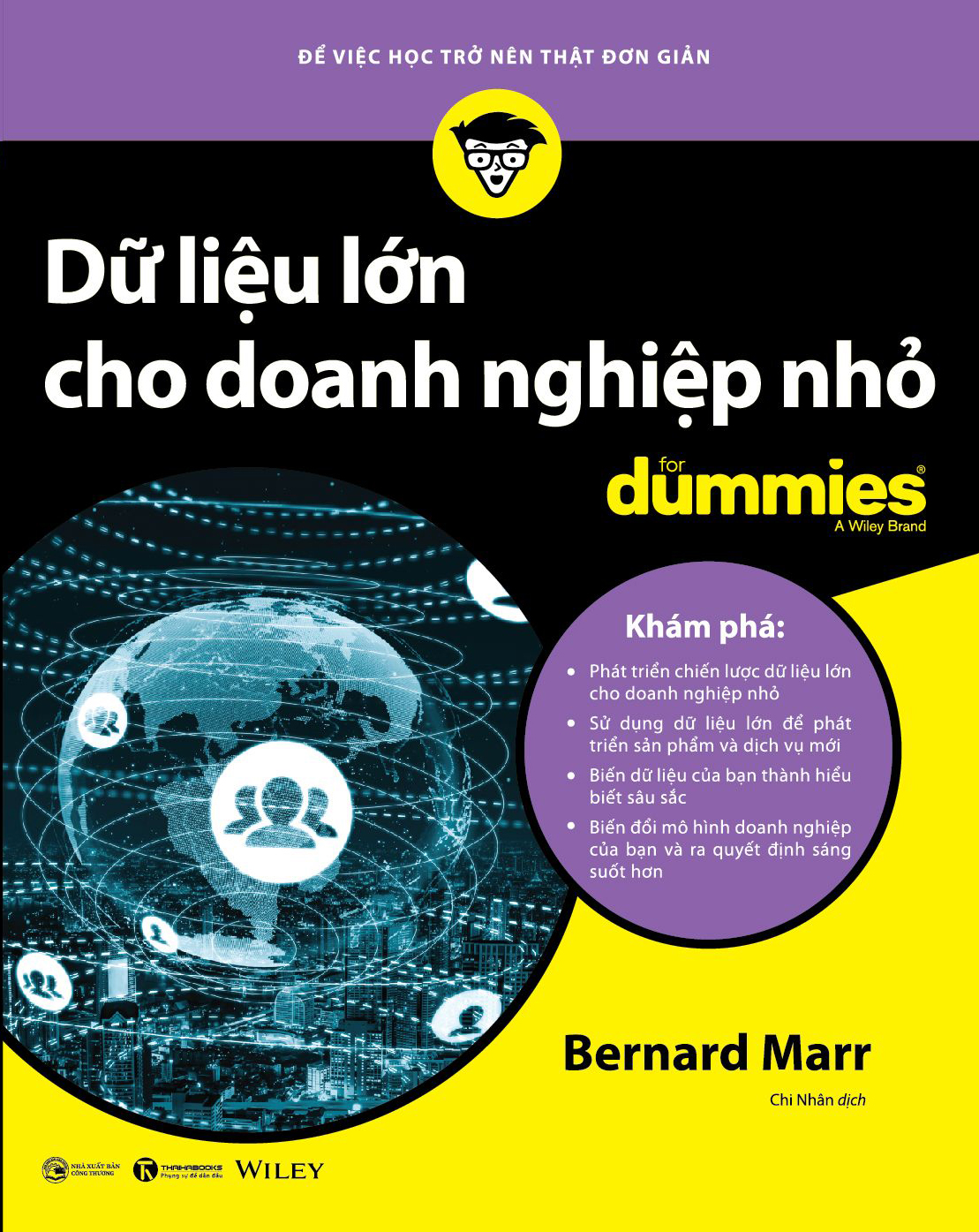 dữ liệu lớn cho doanh nghiệp nhỏ for dummies