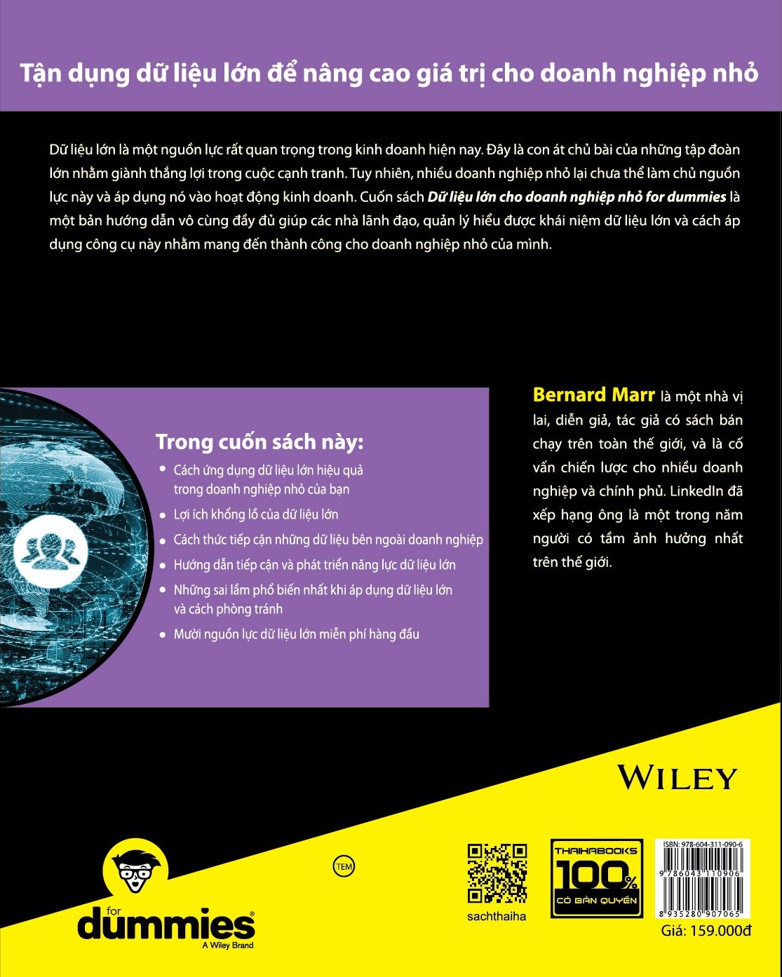 dữ liệu lớn cho doanh nghiệp nhỏ for dummies