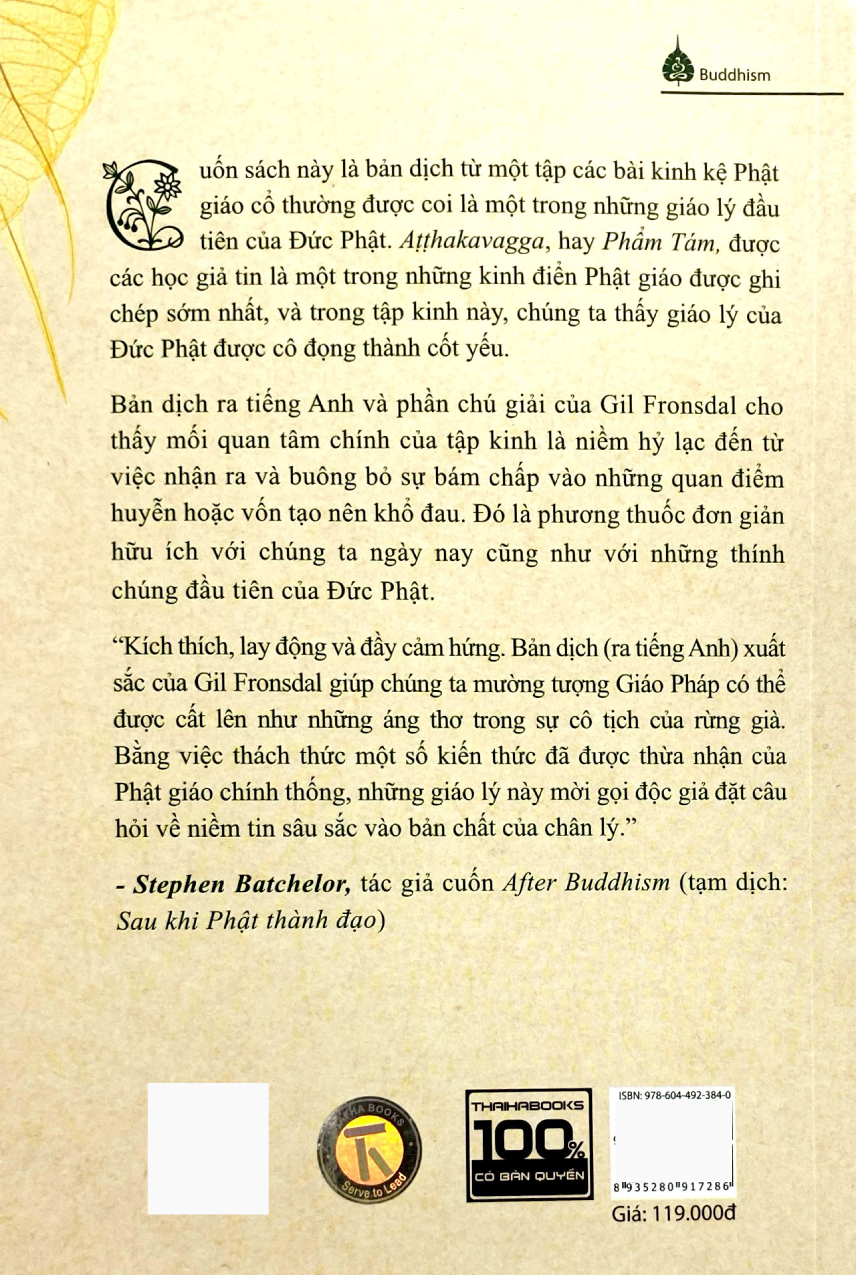 đức phật thời tiền phật giáo - trí tuệ từ những giáo lý sơ khai