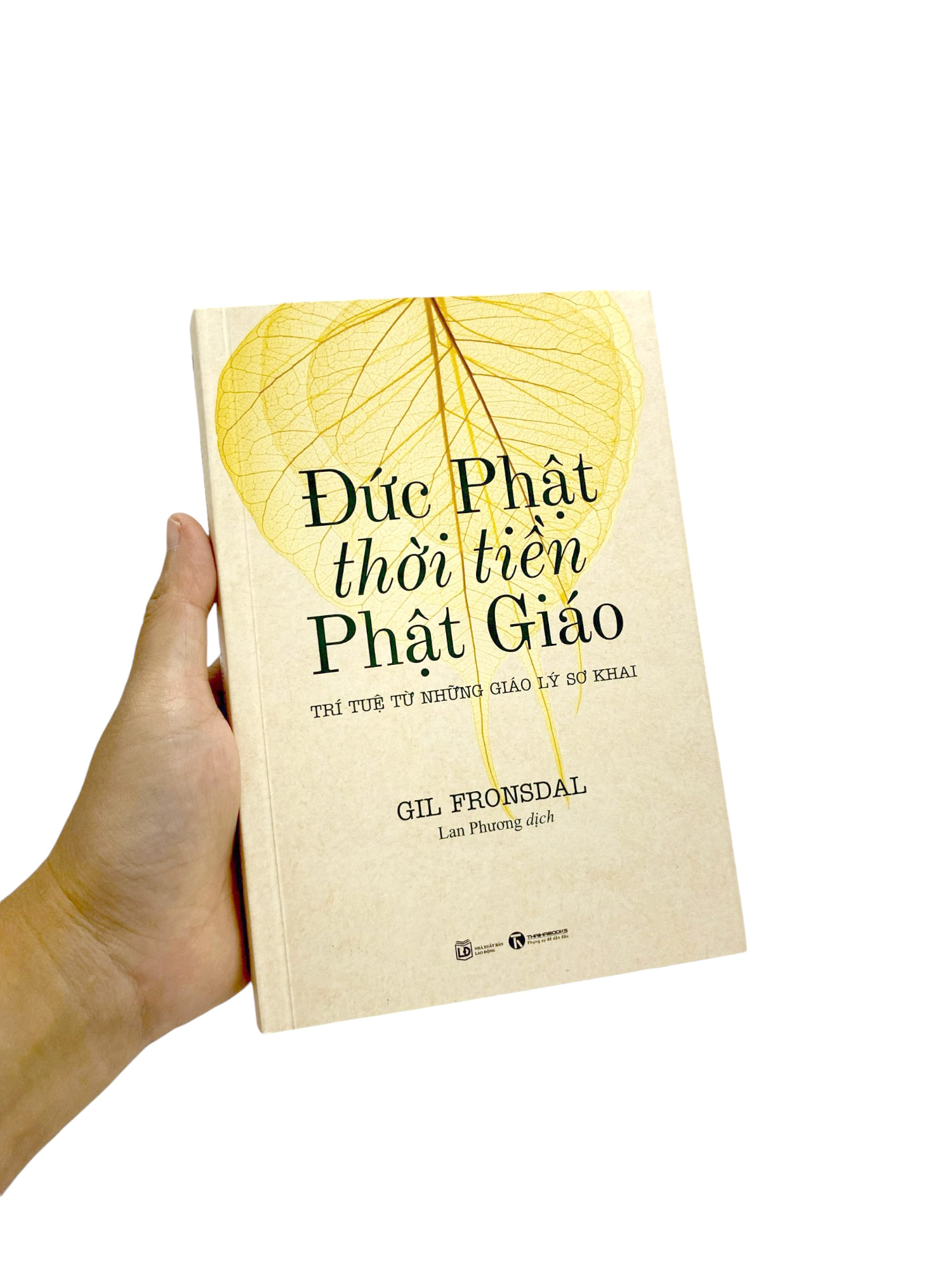 đức phật thời tiền phật giáo - trí tuệ từ những giáo lý sơ khai