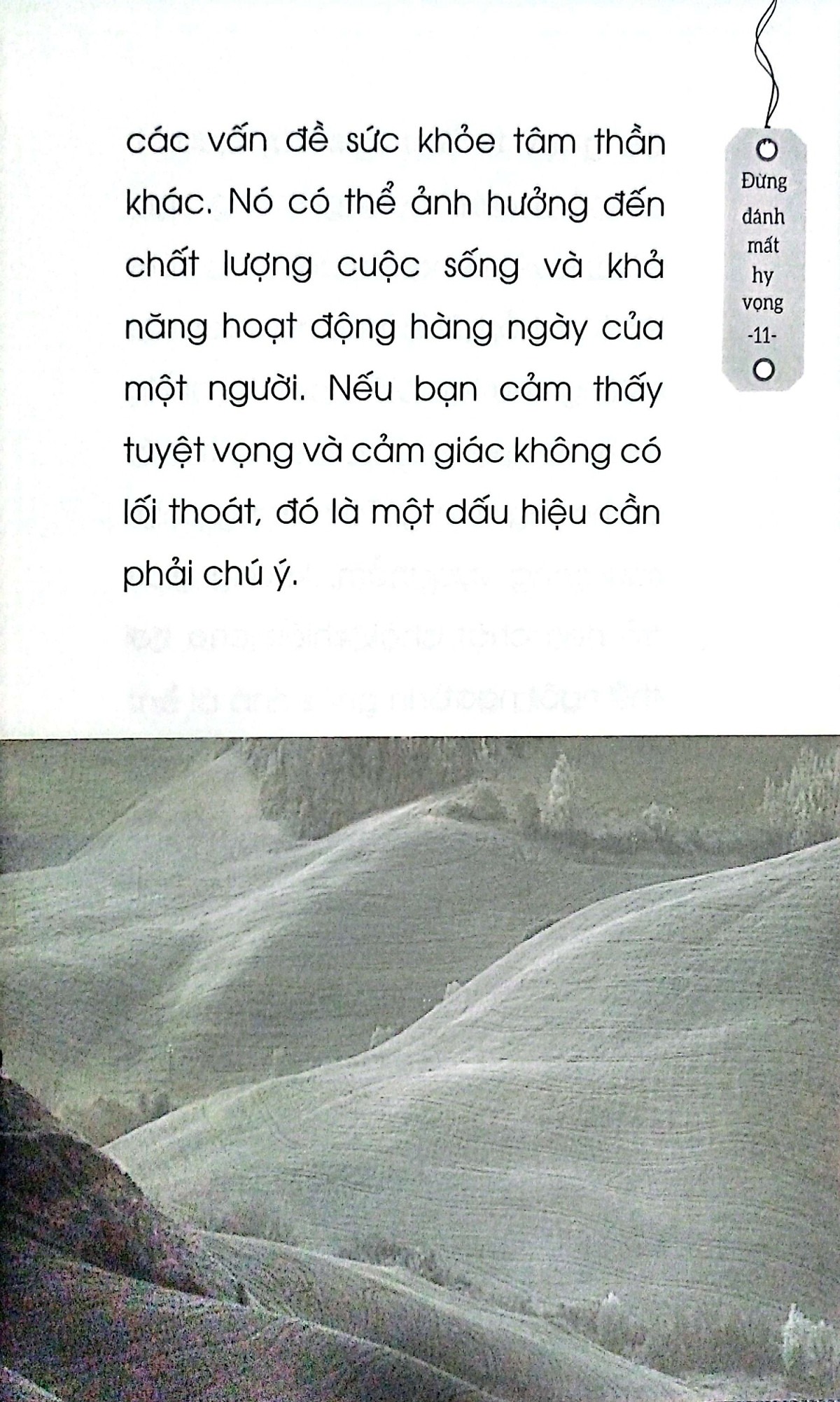 đừng đánh mất hy vọng