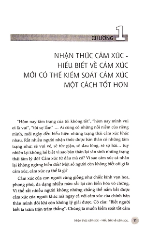 đừng để cảm xúc hủy hoại bạn - làm chủ cảm xúc, làm chủ cuộc đời