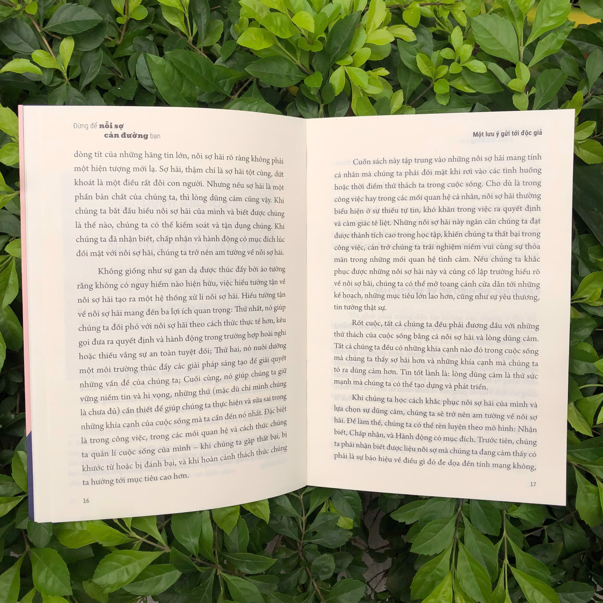 đừng để nỗi sợ cản đường bạn