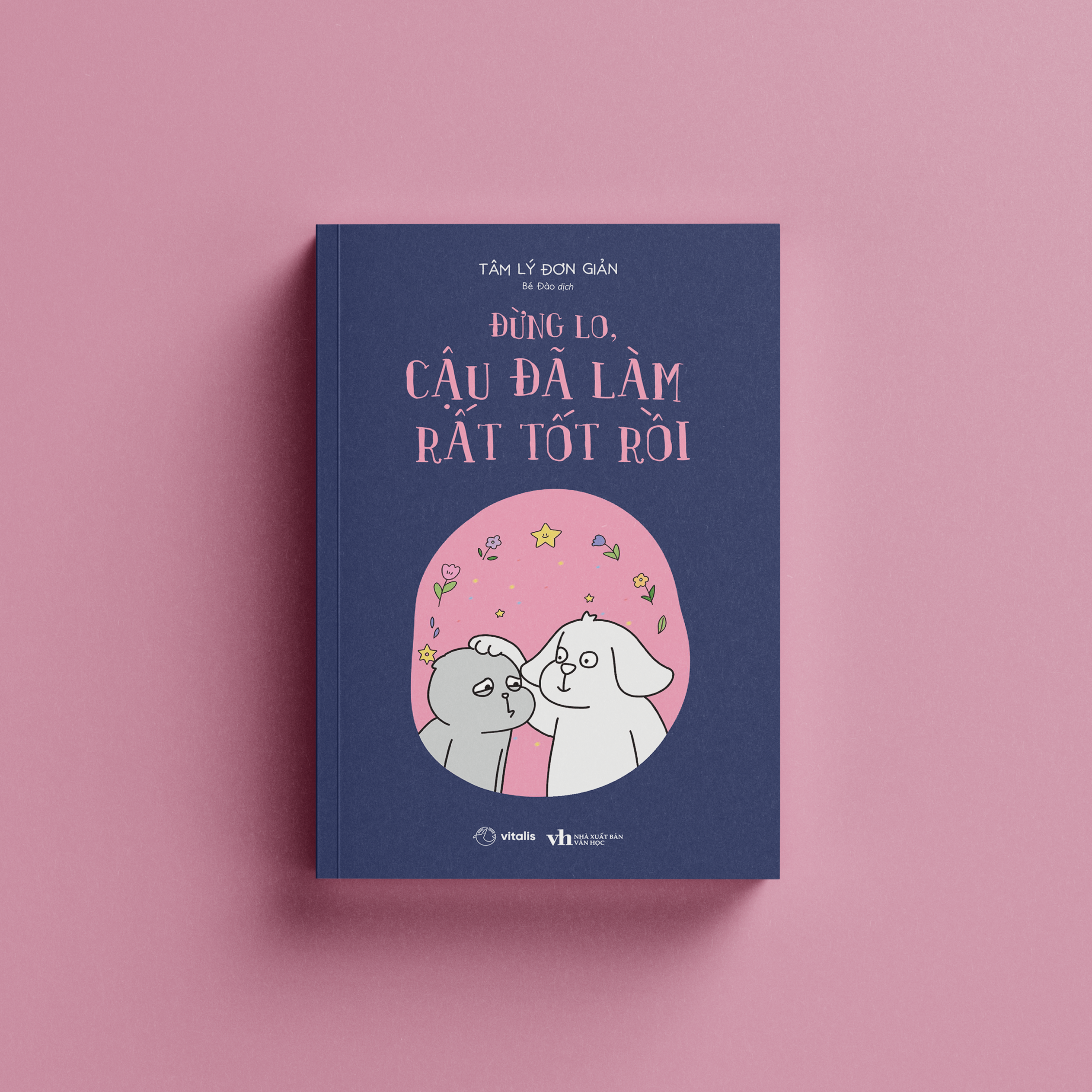 Dung Lo, Cau Da Lam Rat Tot Roi