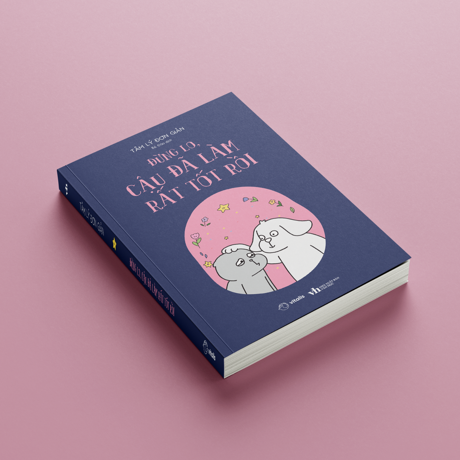 Dung Lo, Cau Da Lam Rat Tot Roi