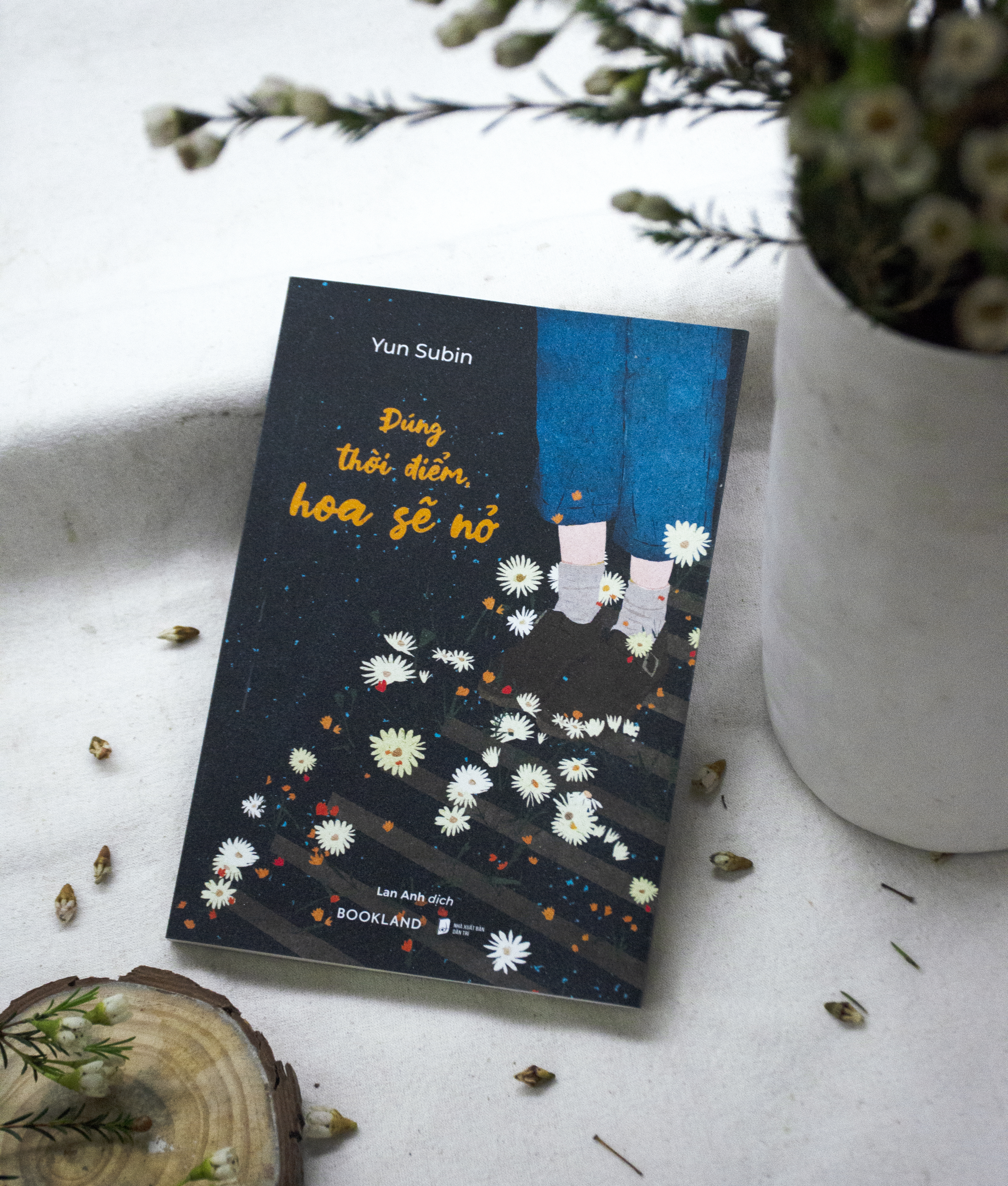 đúng thời điểm, hoa sẽ nở