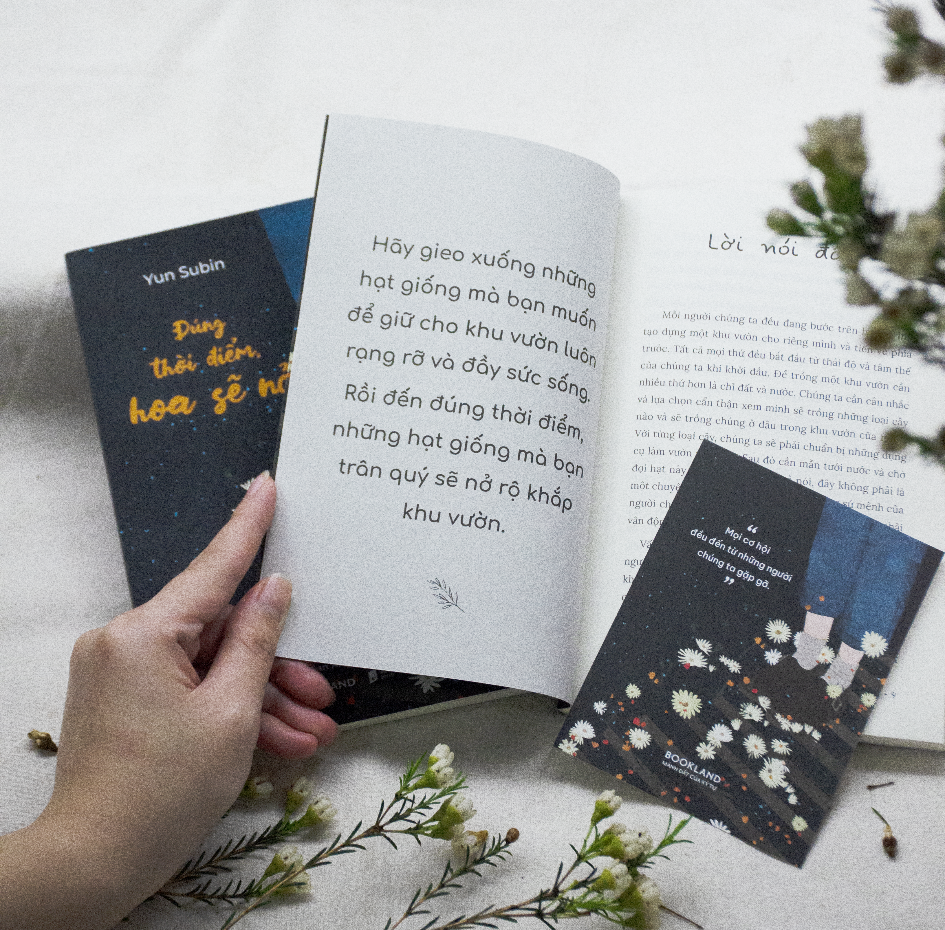 đúng thời điểm, hoa sẽ nở