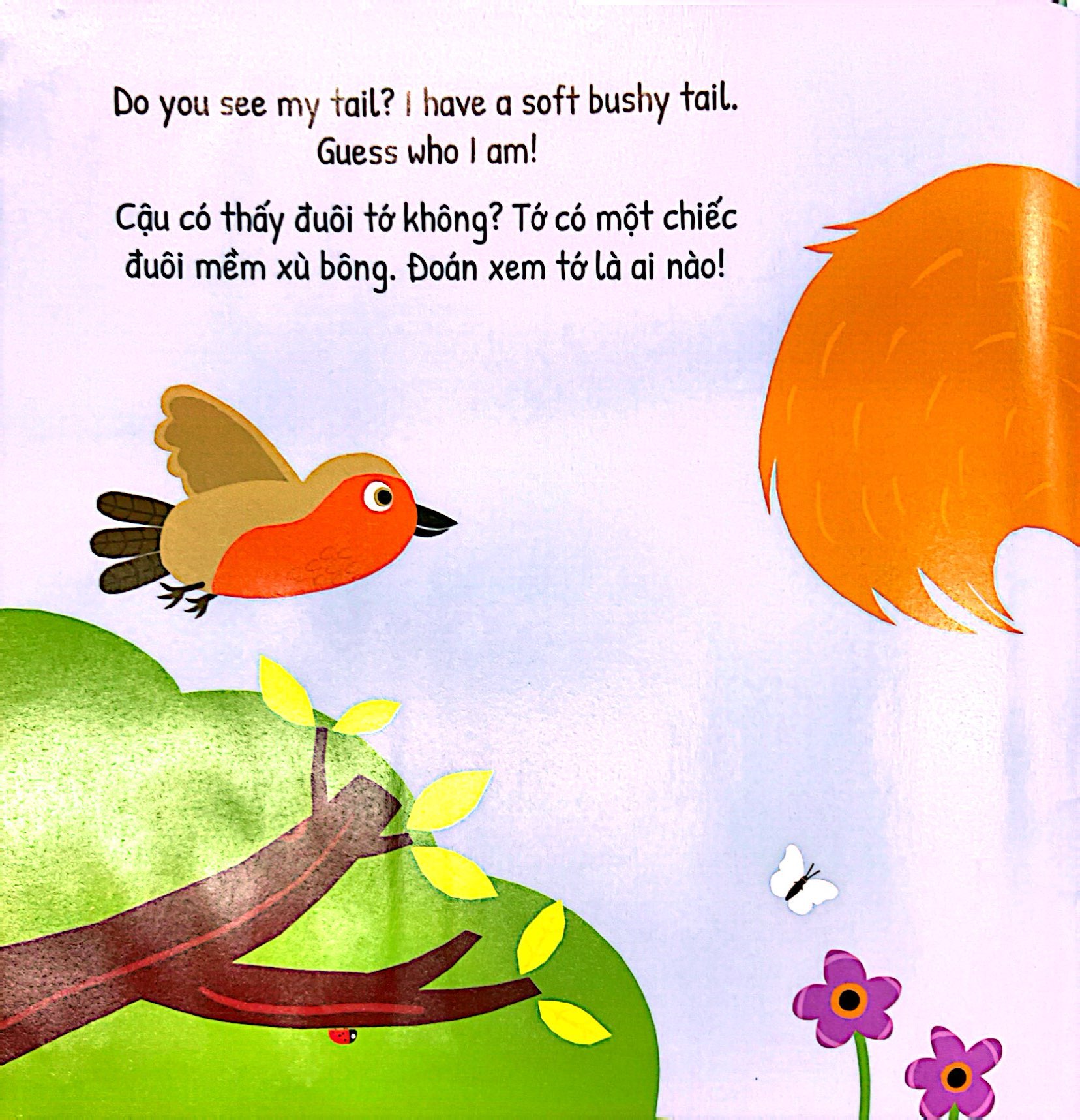 đuôi ai thế này - bìa cứng