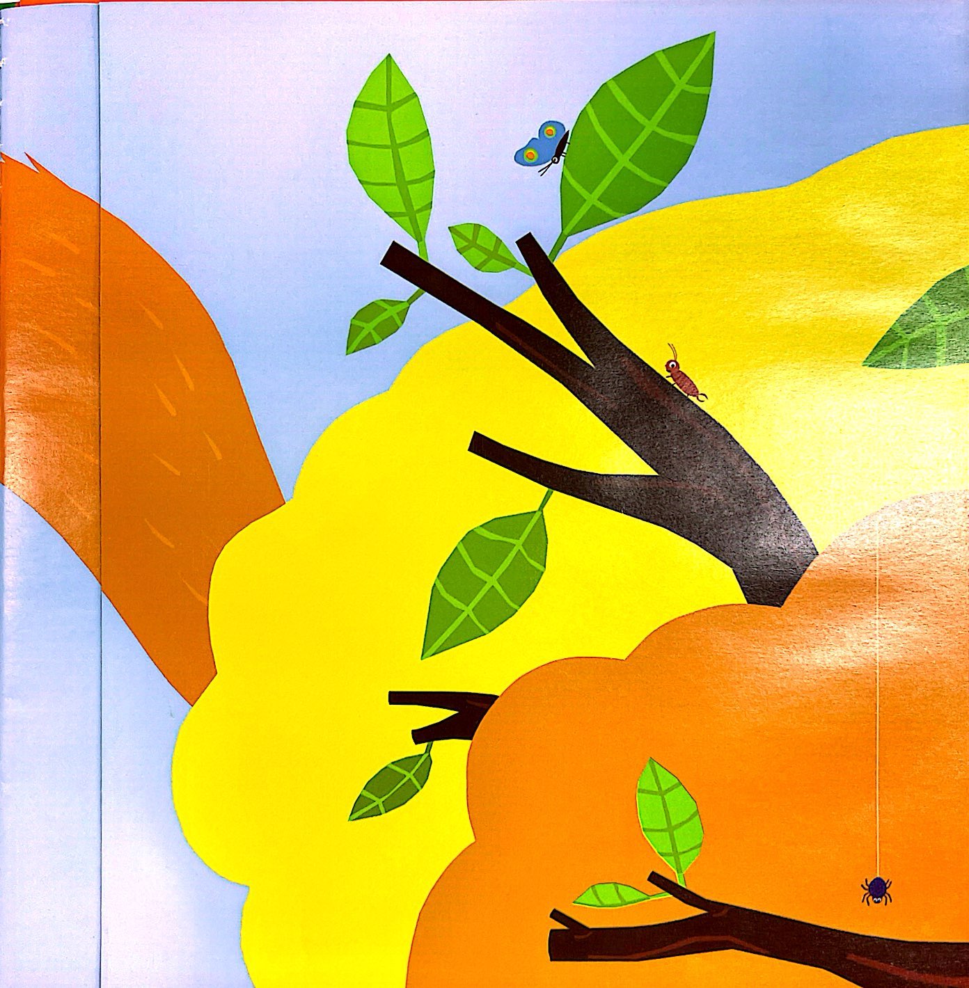 đuôi ai thế này - bìa cứng