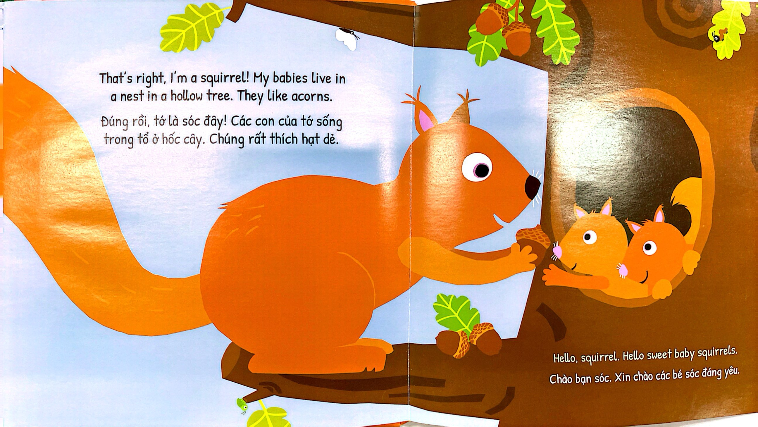 đuôi ai thế này - bìa cứng