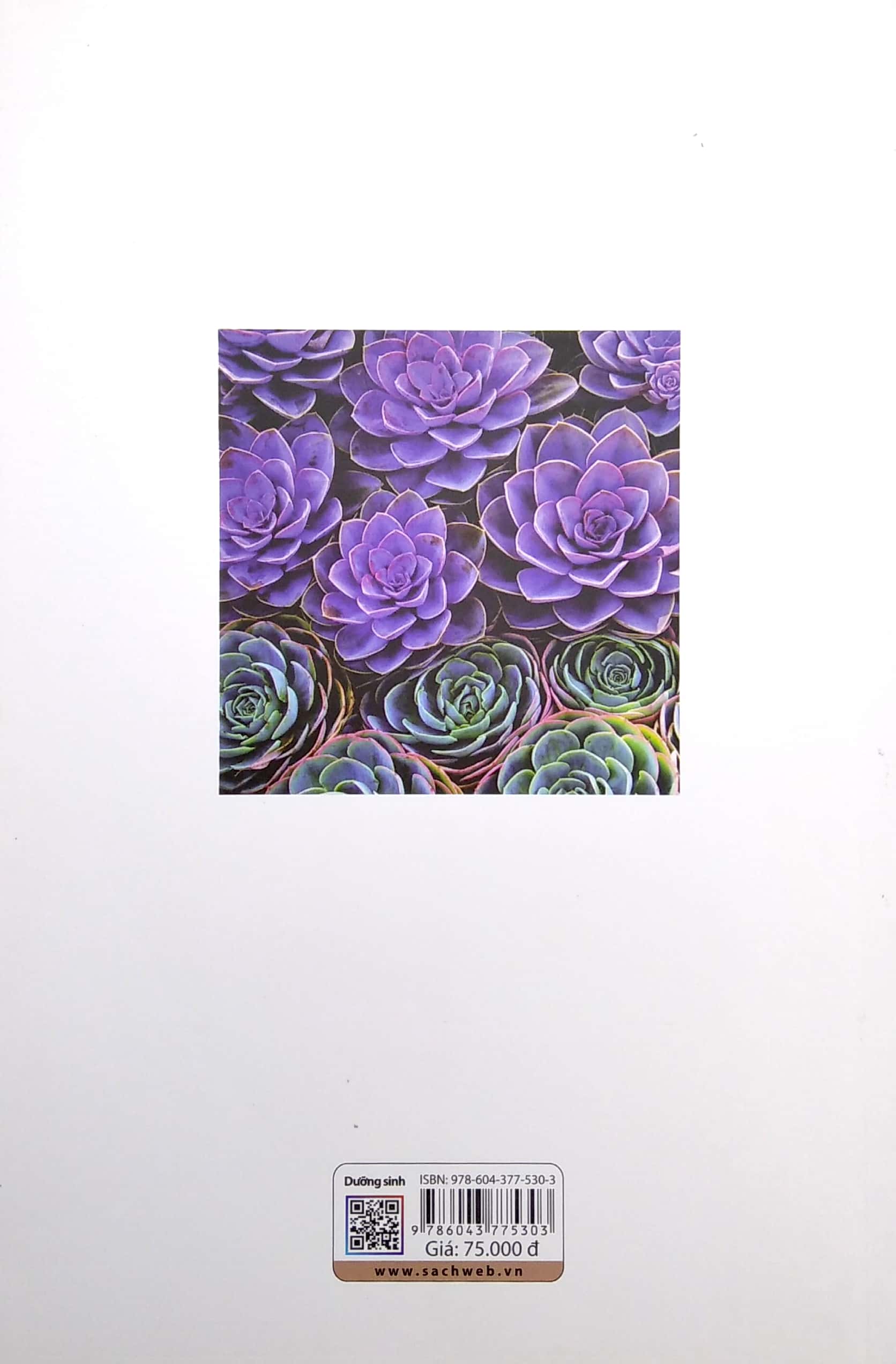 dưỡng sinh (2022)