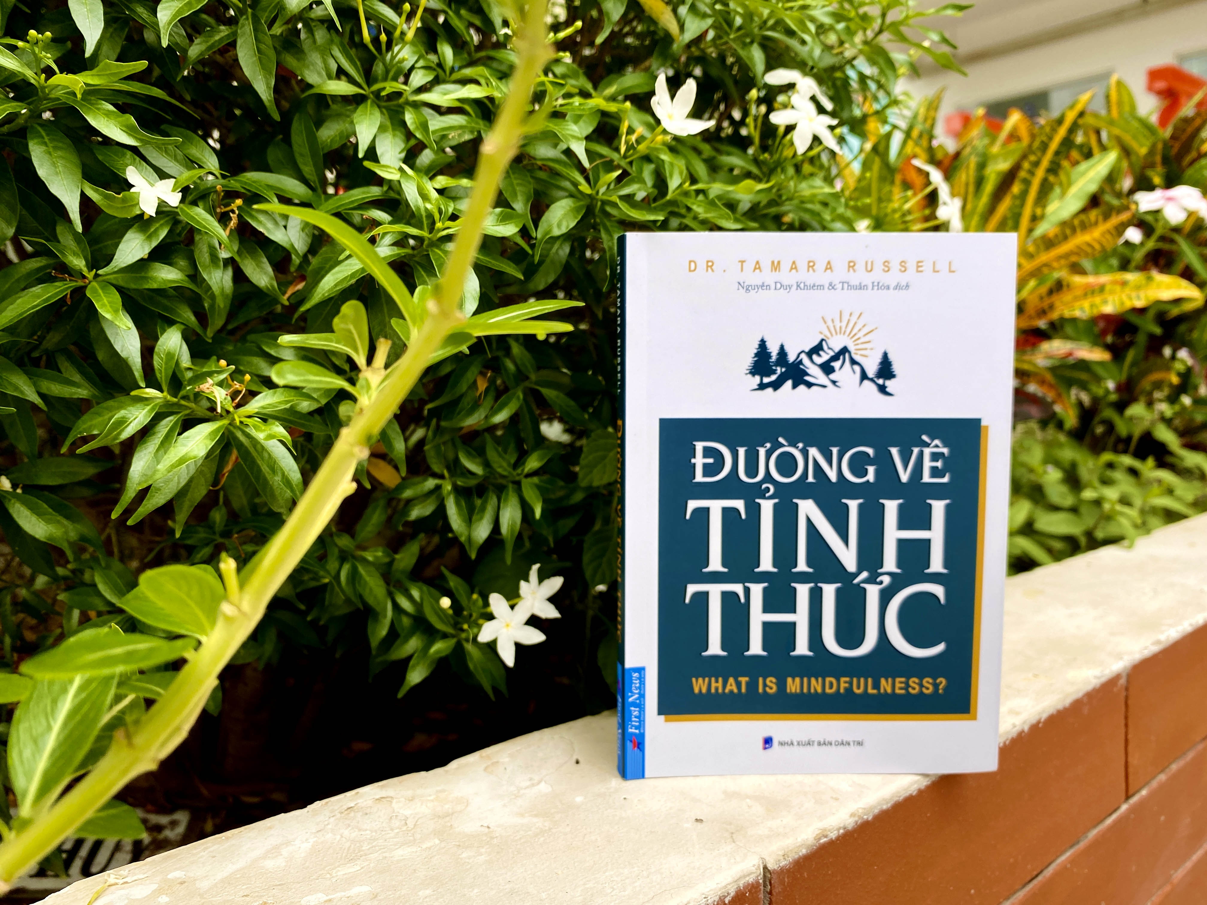 đường về tỉnh thức - what is mindfulness?