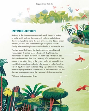 earth's incredible places - amazon river