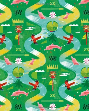 earth's incredible places - amazon river