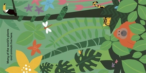 eco baby - rainforests