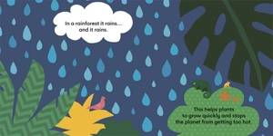 eco baby - rainforests