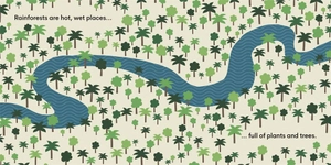 eco baby - rainforests