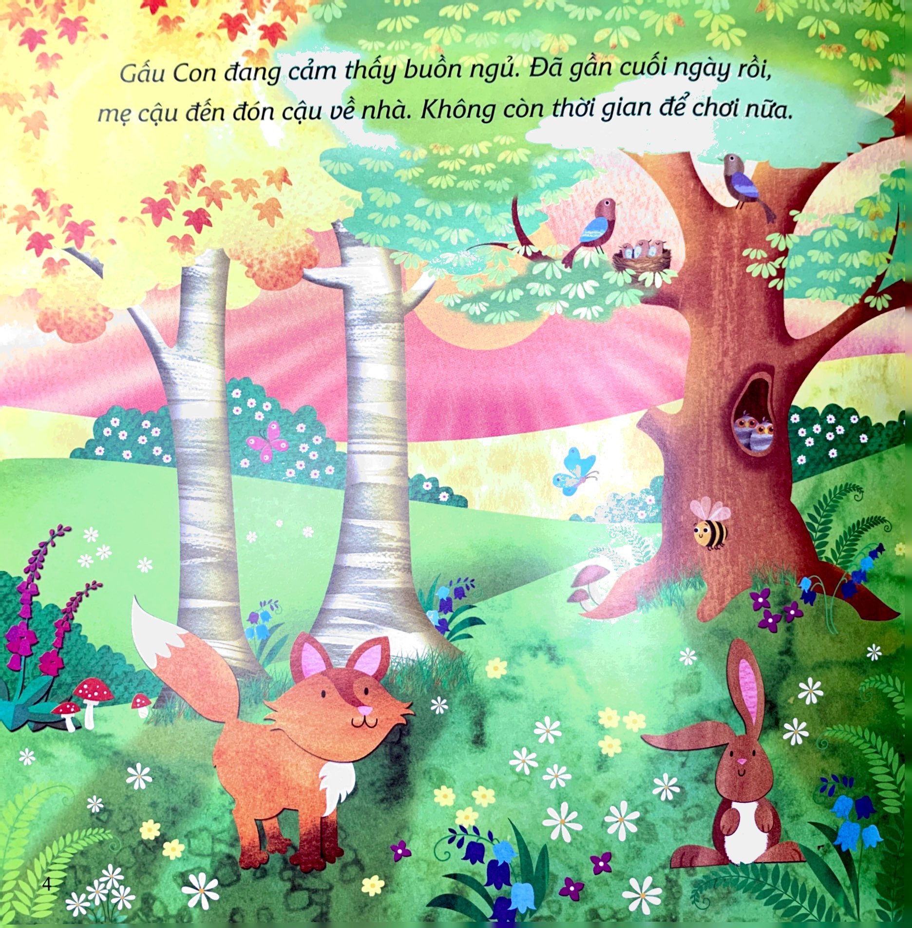 ehon châu âu - chúc gấu con ngủ ngon