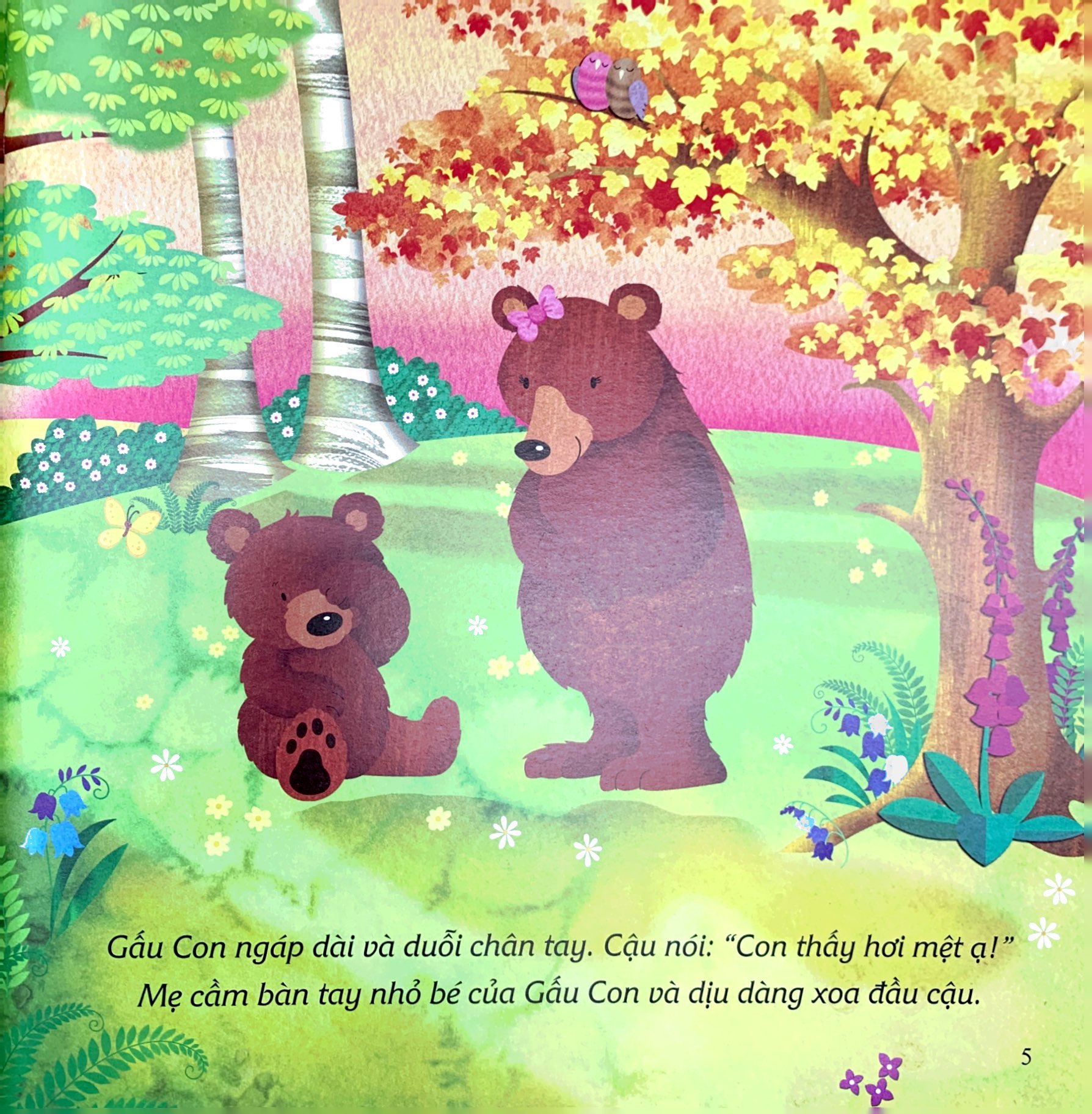 ehon châu âu - chúc gấu con ngủ ngon