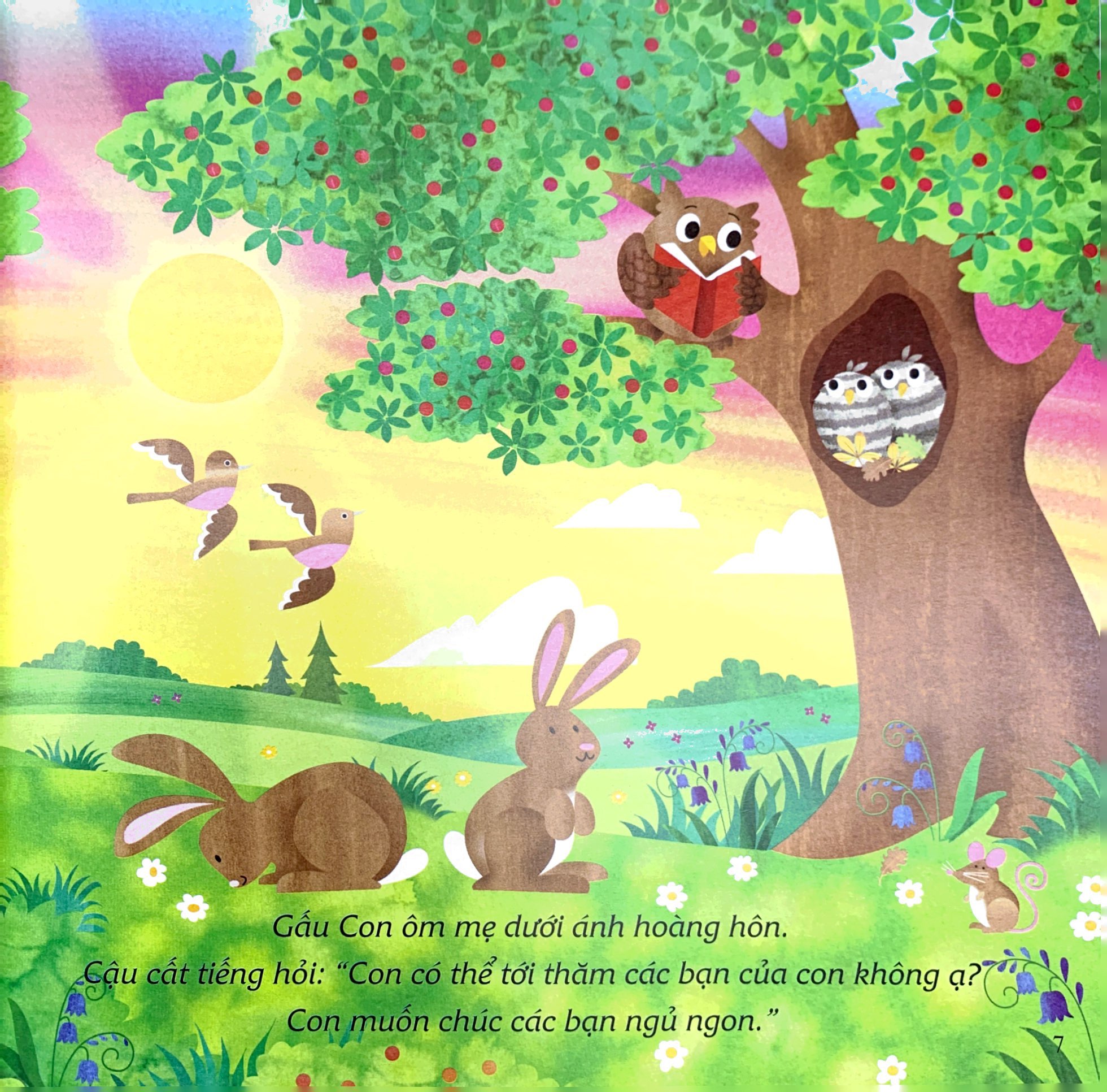 ehon châu âu - chúc gấu con ngủ ngon