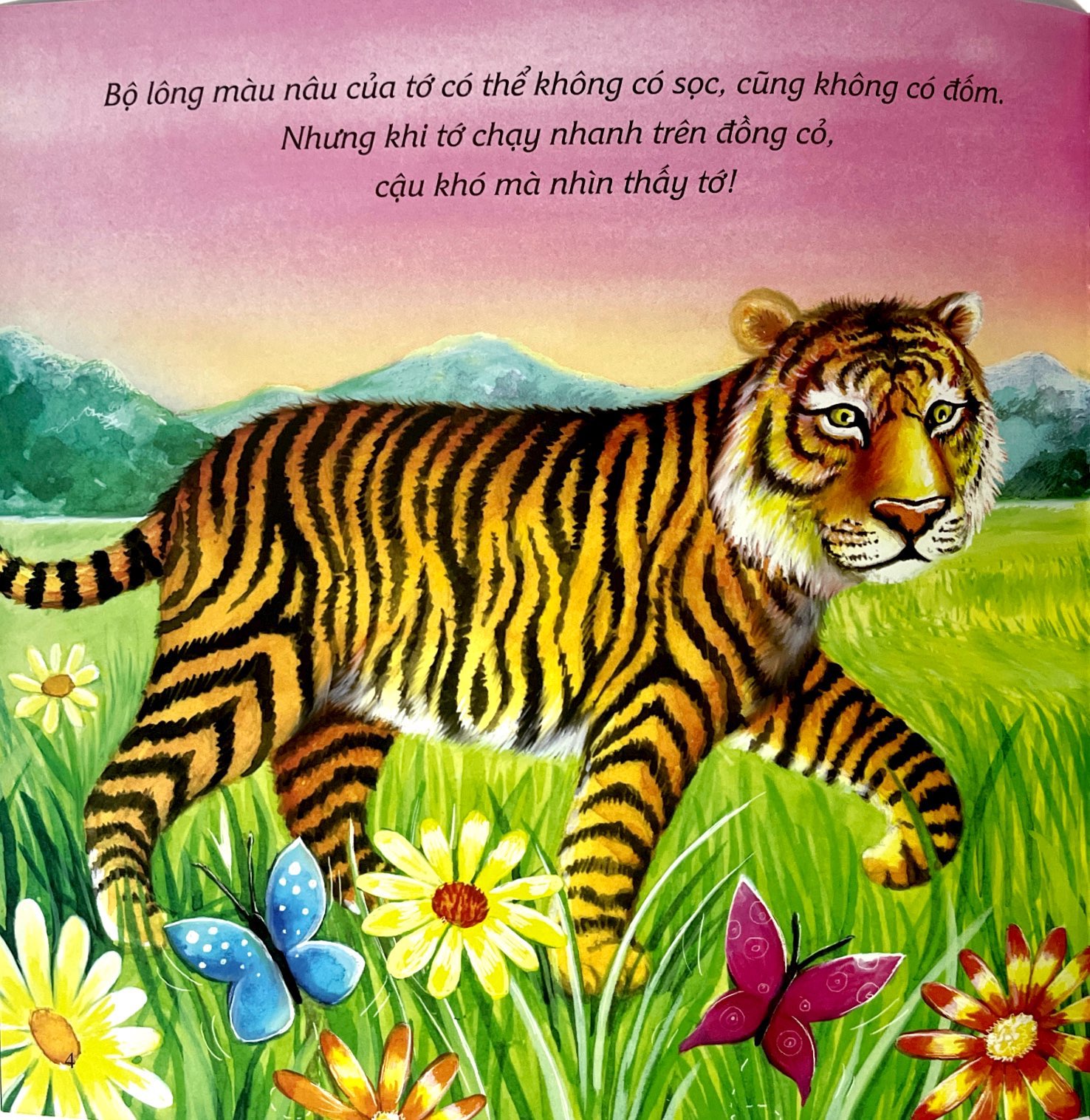 ehon châu âu - hãy là chính mình!