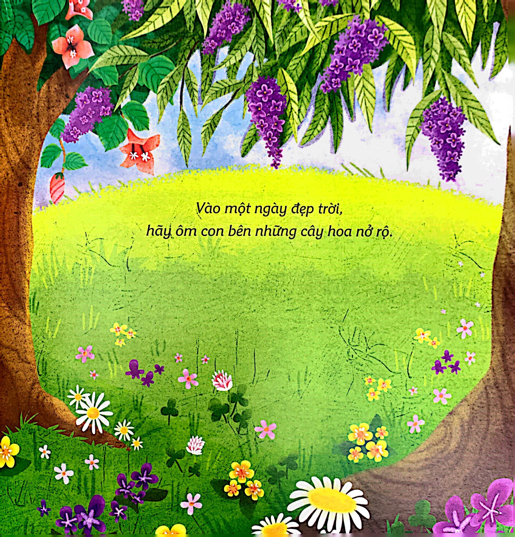 ehon châu âu - hãy ôm con nào!