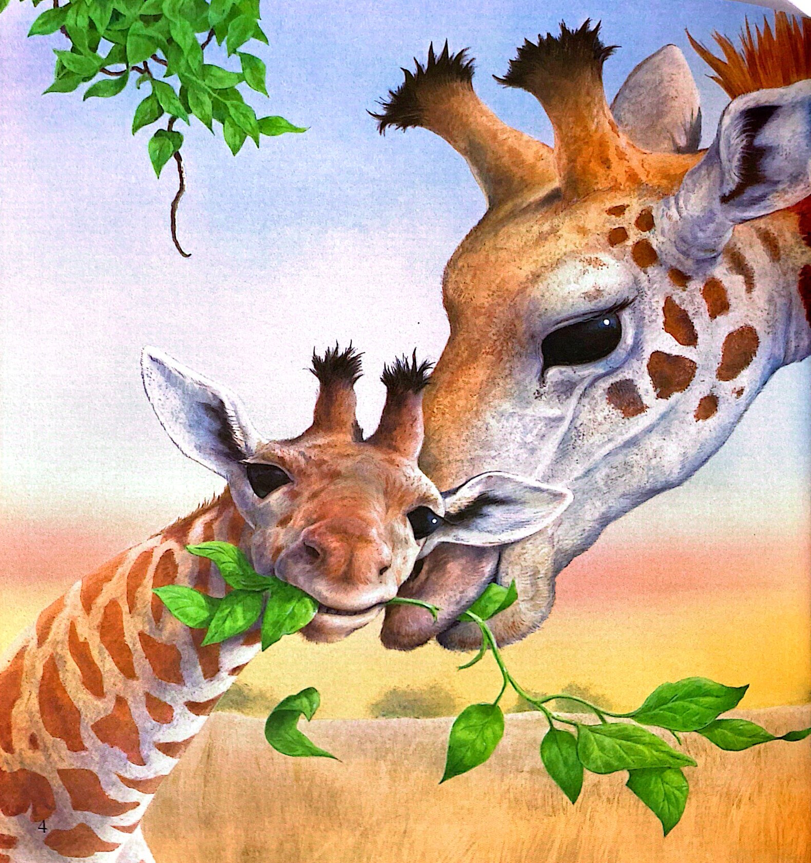 ehon châu âu - mẹ yêu con