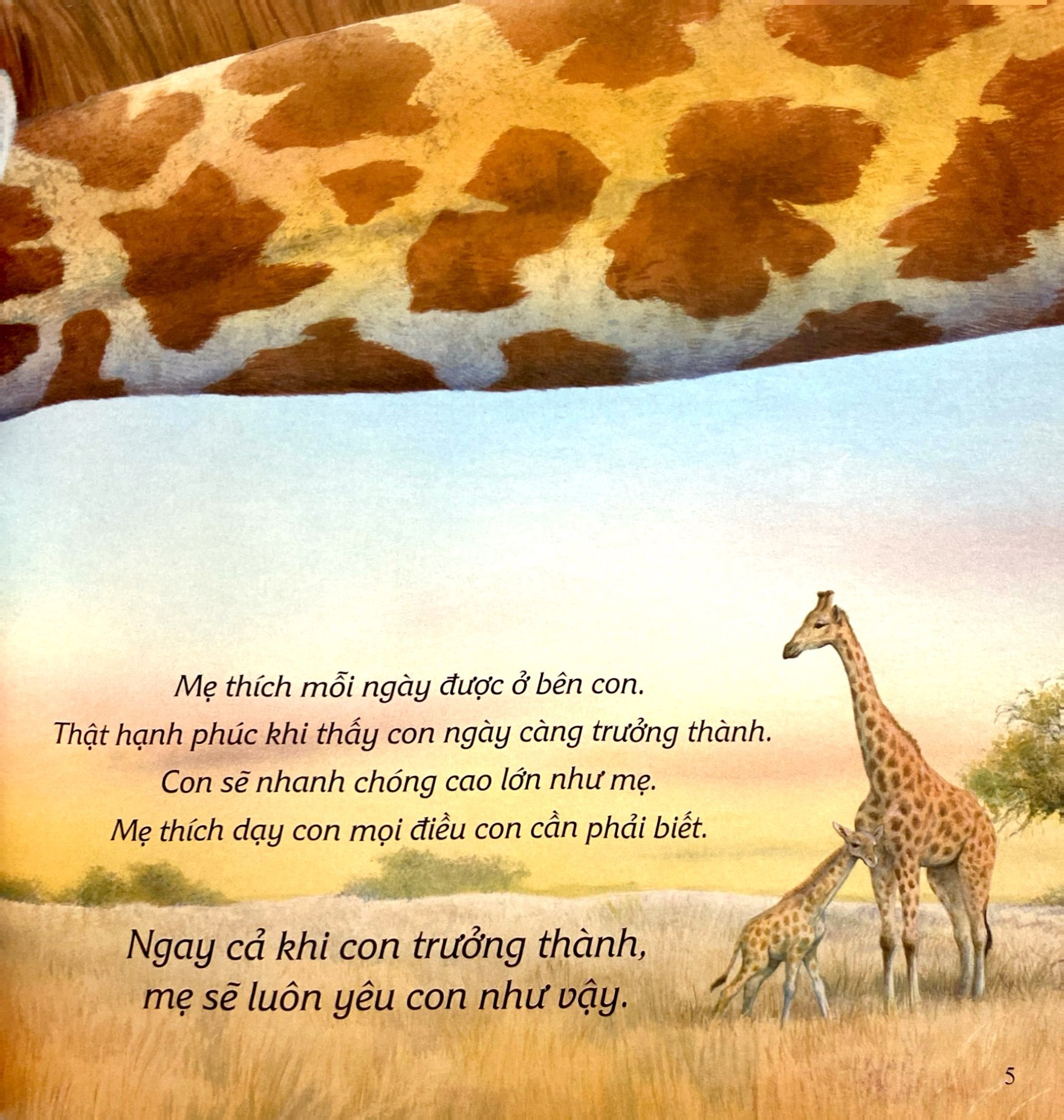 ehon châu âu - mẹ yêu con