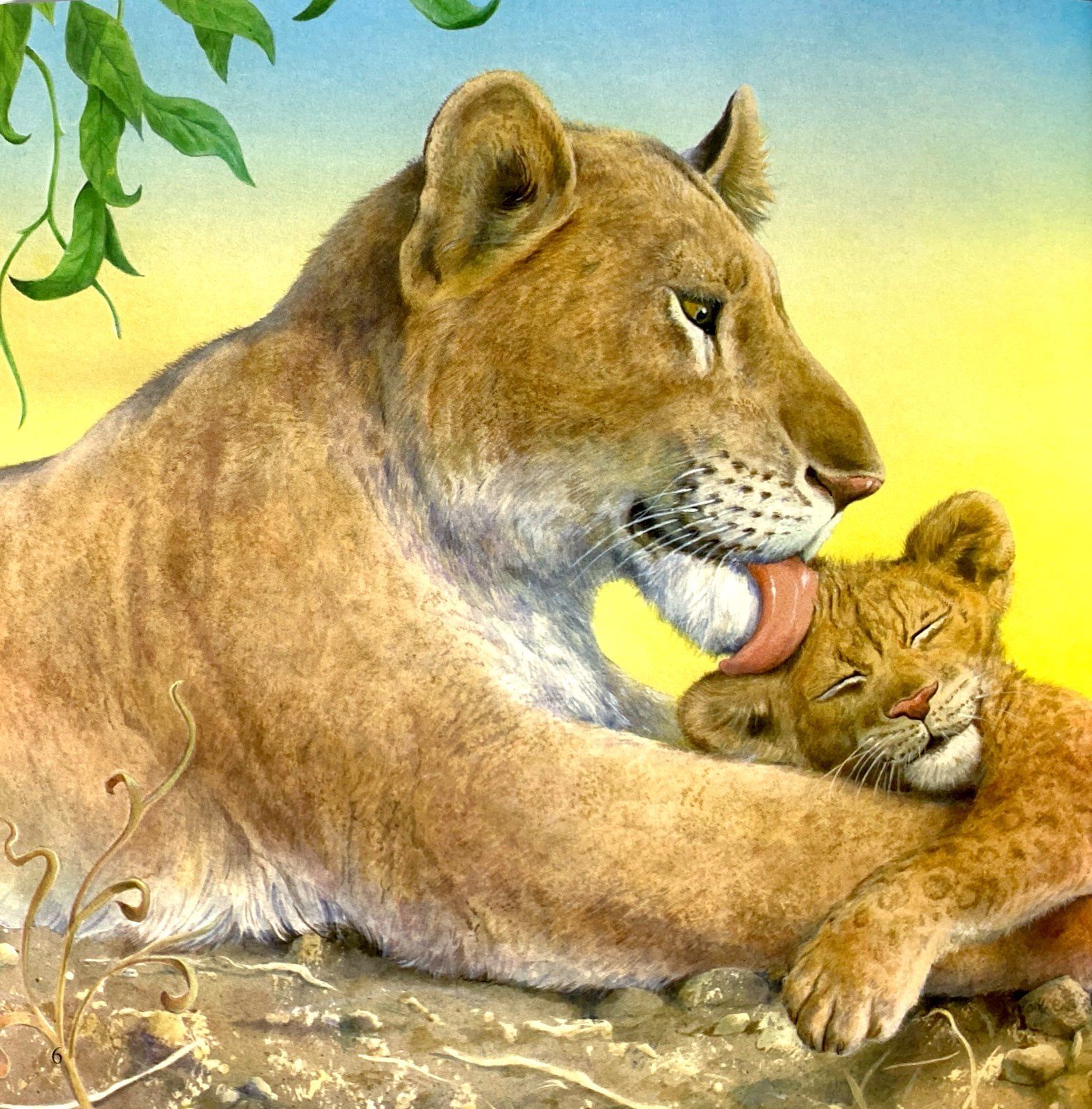 ehon châu âu - mẹ yêu con