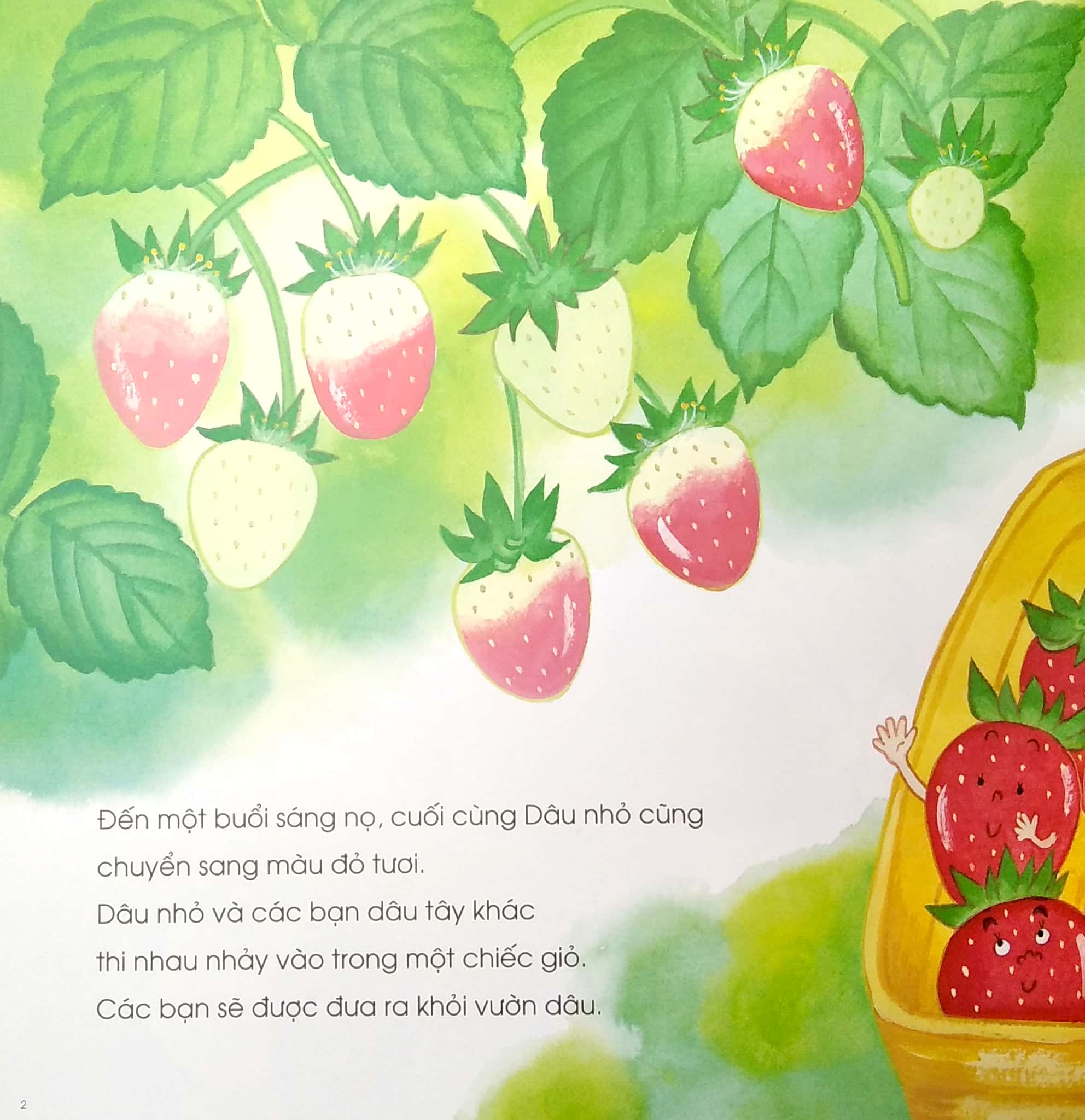 ehon - mọt sách mogu - dâu nhỏ ơi, cậu ở đâu thế?