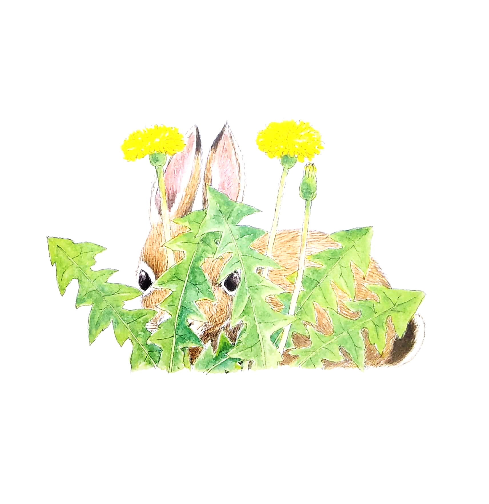 ehon - mọt sách mogu - đố biết ai đây? (từ 1 - 6 tuổi) (tái bản)