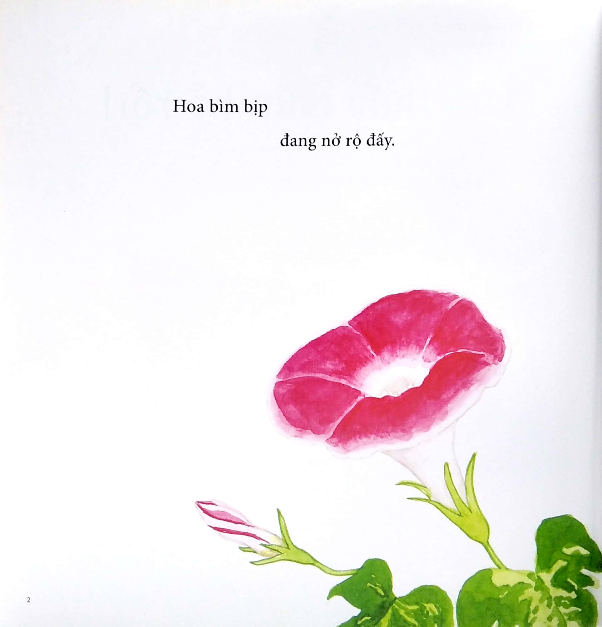 ehon - mọt sách mogu - tìm thấy mùa hè rồi! (từ 1 - 6 tuổi)