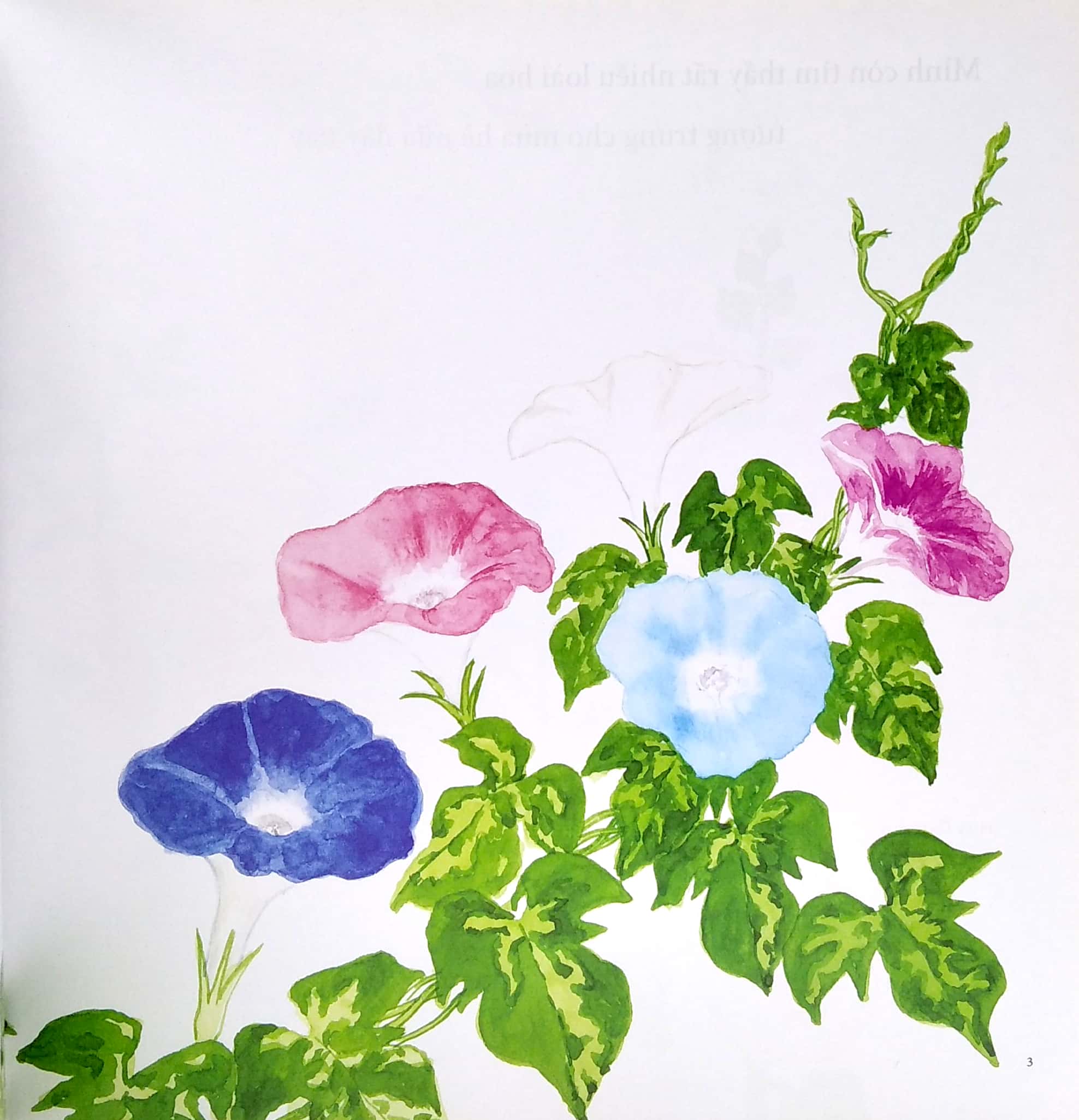 ehon - mọt sách mogu - tìm thấy mùa hè rồi! (từ 1 - 6 tuổi)