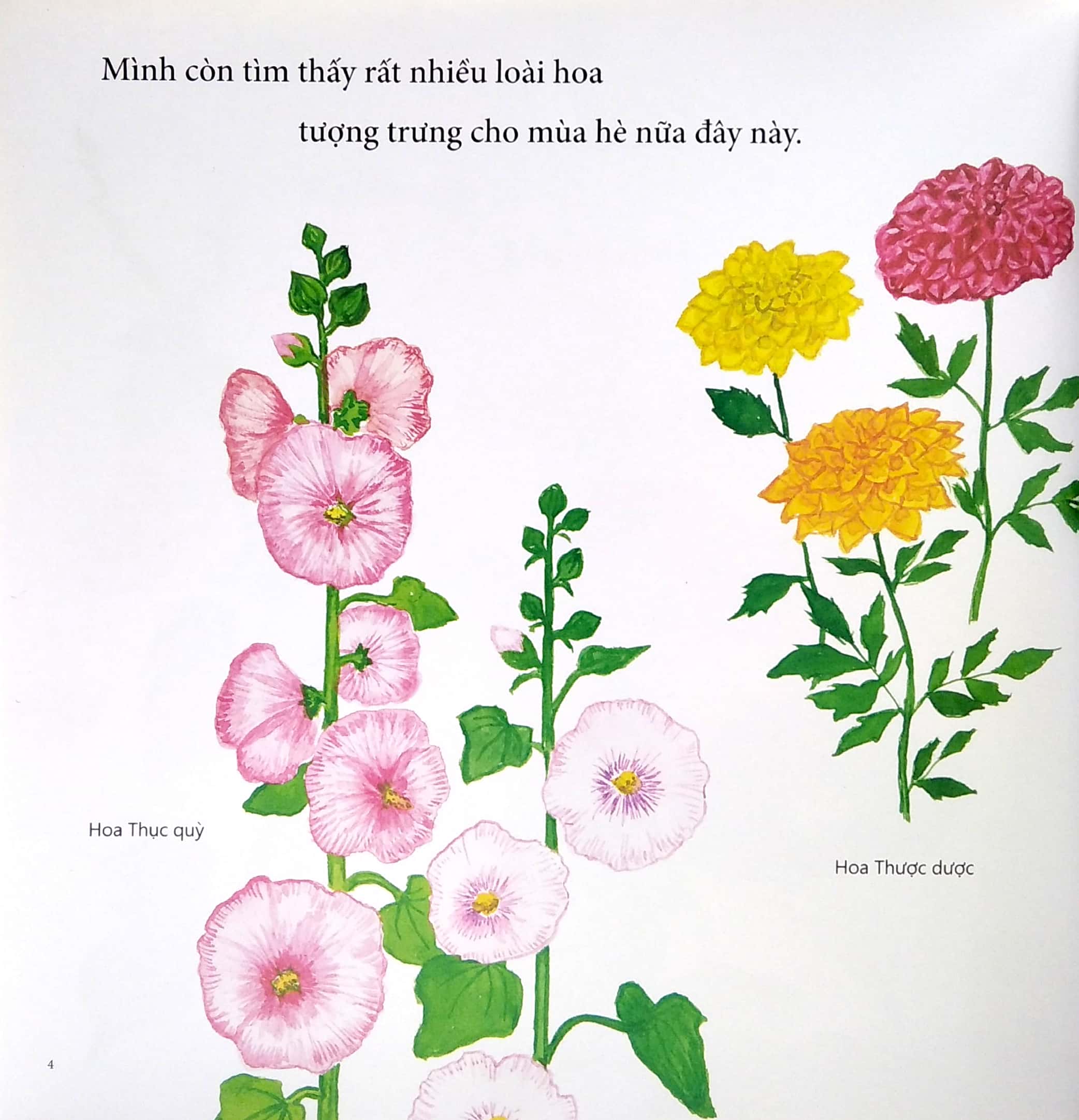 ehon - mọt sách mogu - tìm thấy mùa hè rồi! (từ 1 - 6 tuổi)