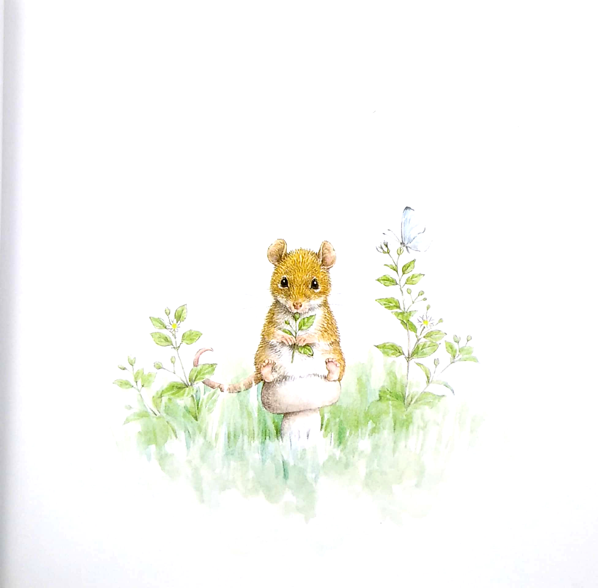 ehon - mọt sách mogu - xin mời ngồi (tái bản 2024)