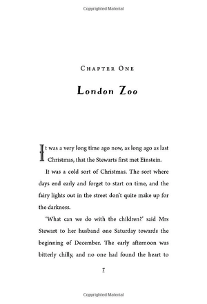 einstein the penguin