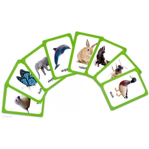 eli language games - the animal kingdom