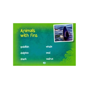 eli language games - the animal kingdom