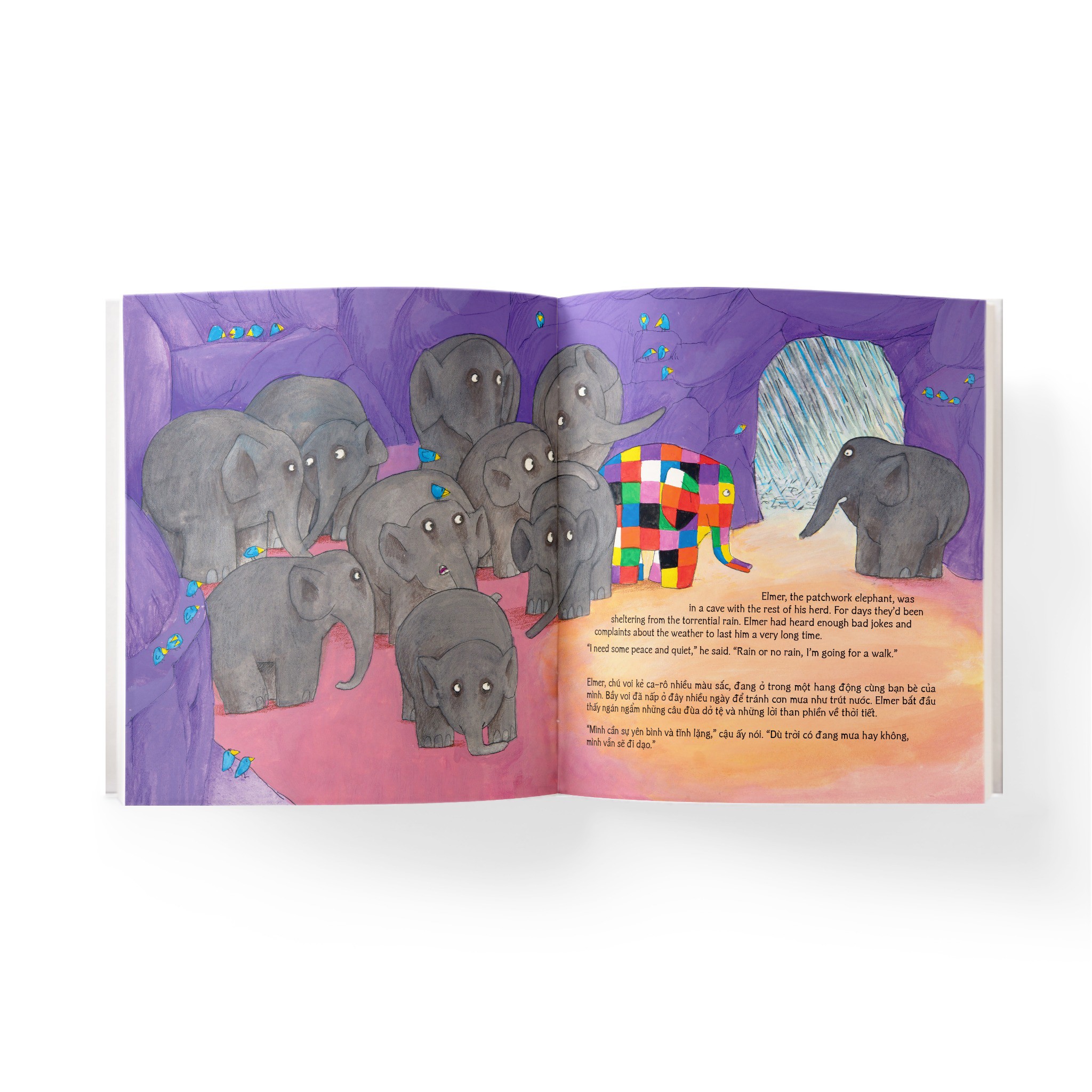 elmer and the flood - elmer và cơn lũ - song ngữ anh-việt