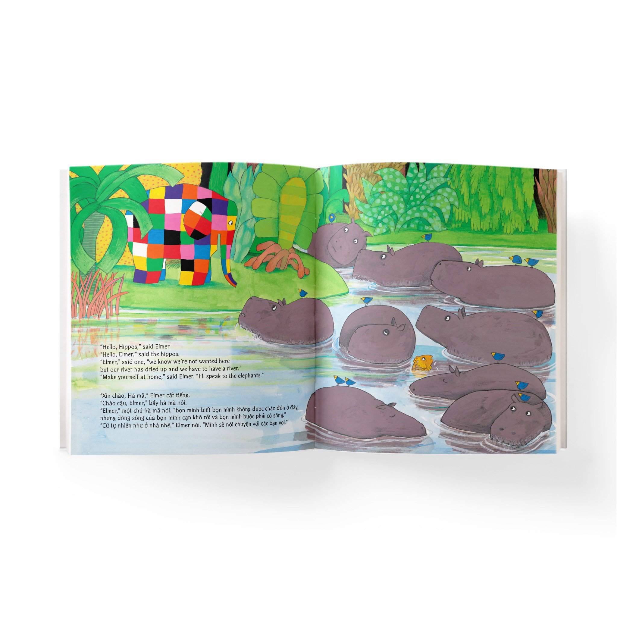 elmer and the hippos - elmer và bầy hà mã - song ngữ anh-việt