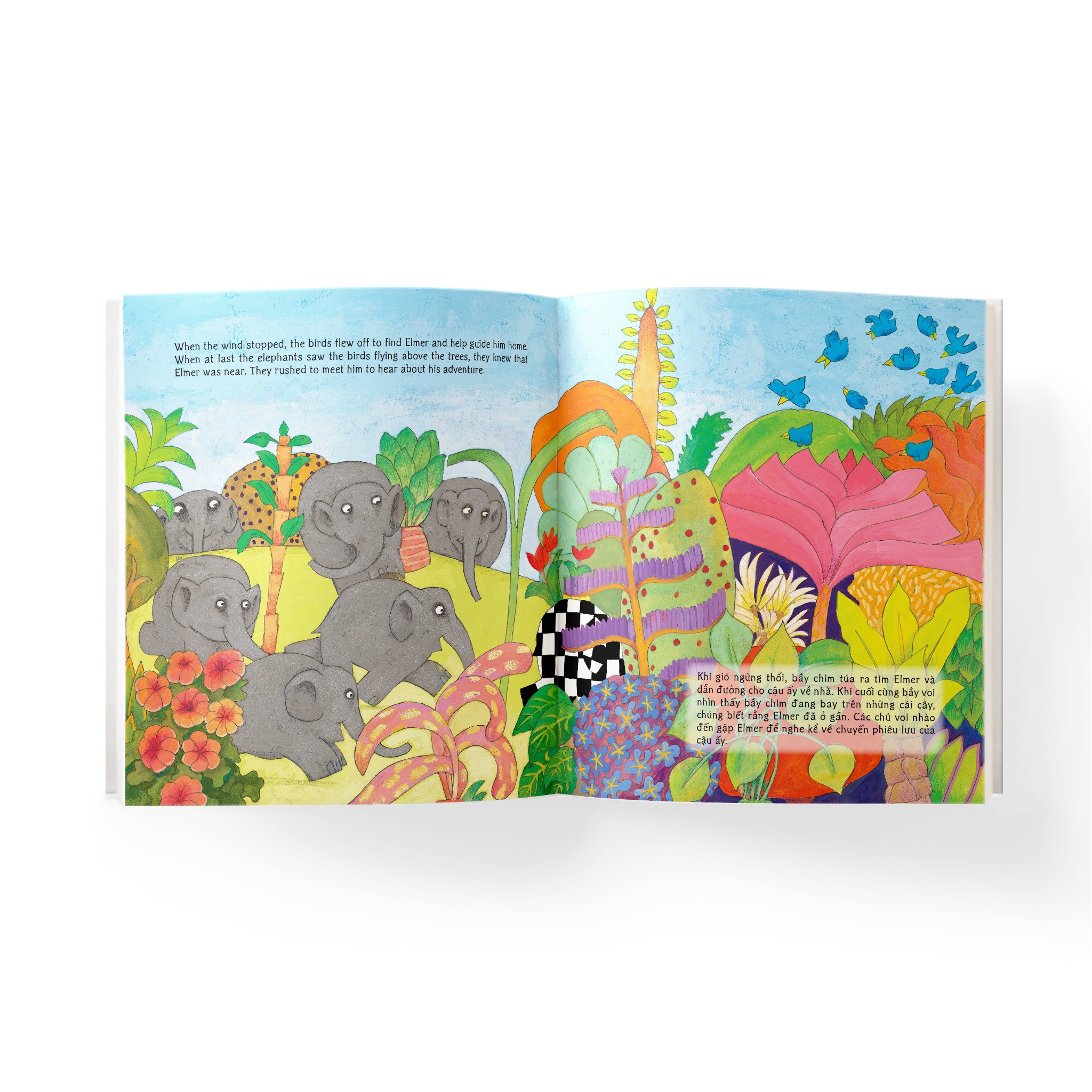 elmer and the wind - elmer và ngày gió lớn - song ngữ anh-việt