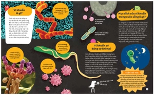 em biết gì? - thế giới vi khuẩn