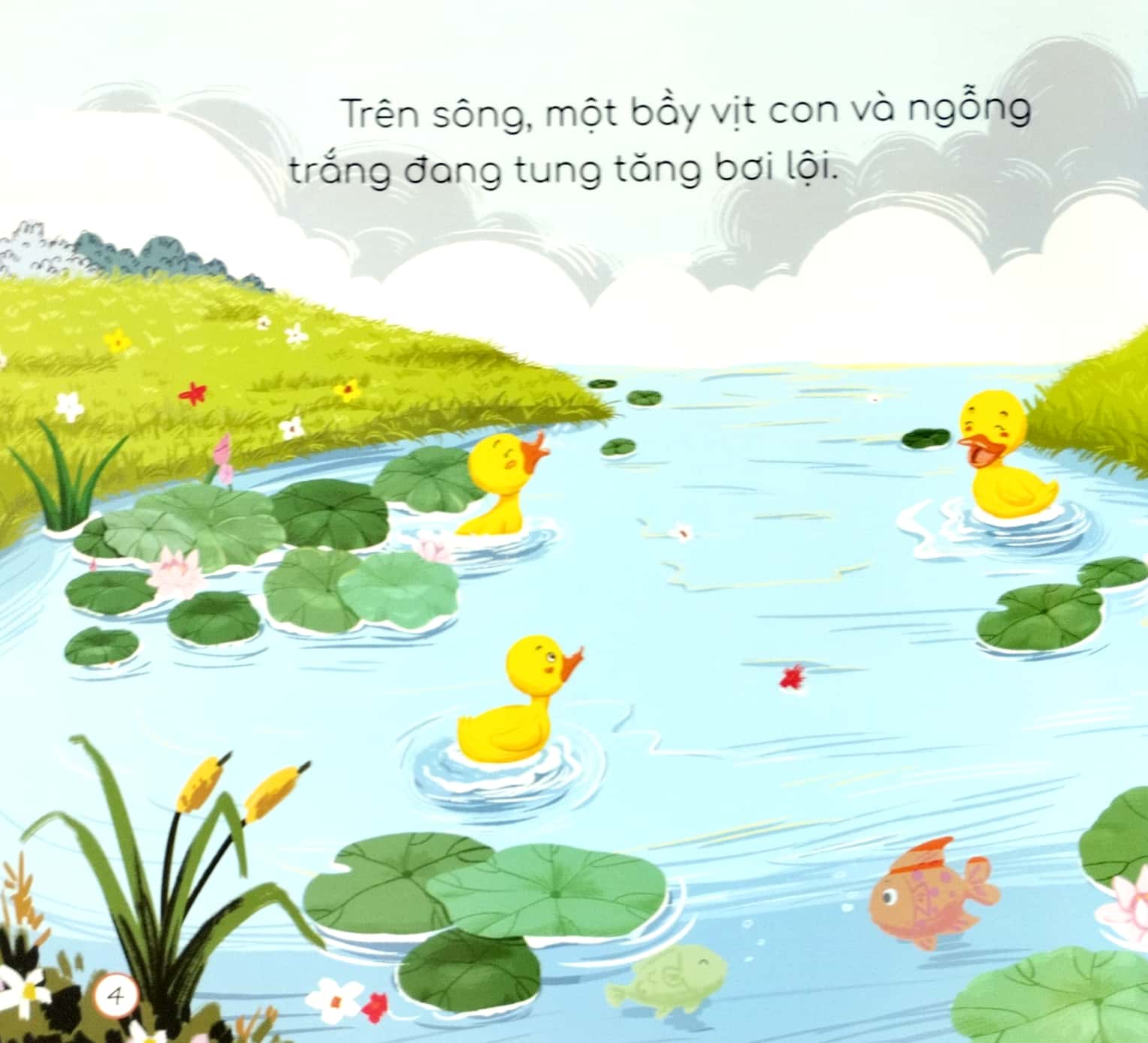 em học cách giữ an toàn cho bản thân - vịt con suýt chết đuối