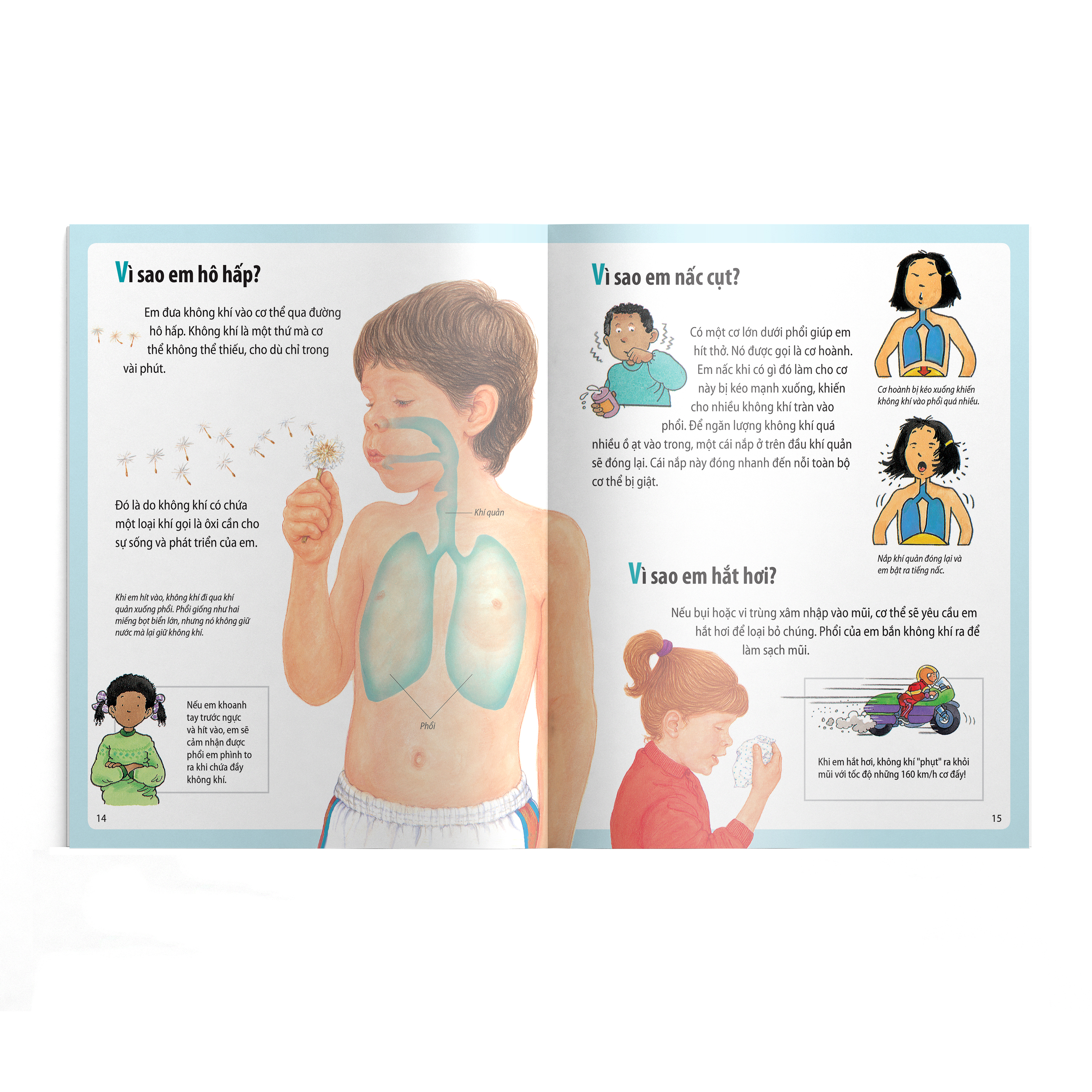 em muốn biết vì sao - bụng em sôi ùng ục và những câu hỏi khác về cơ thể (tái bản 2022)