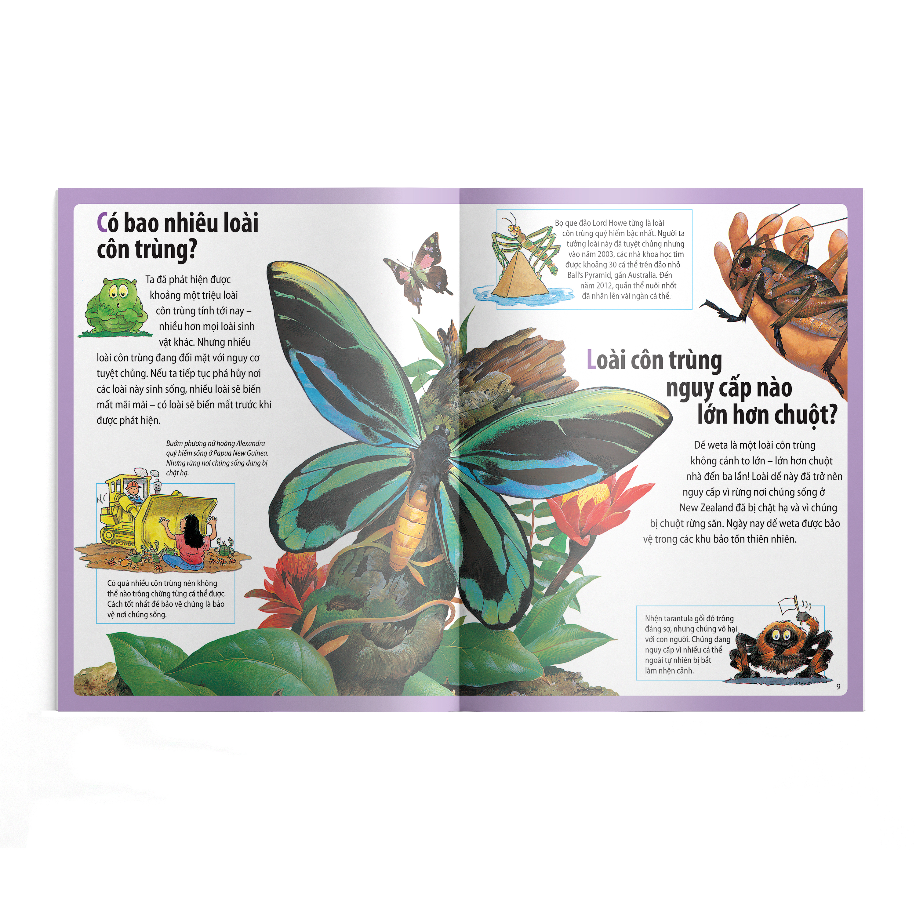 em muốn biết vì sao - chim dodo tuyệt chủng và những câu hỏi khác về các loài động vật nguy cấp và đã tuyệt chủng