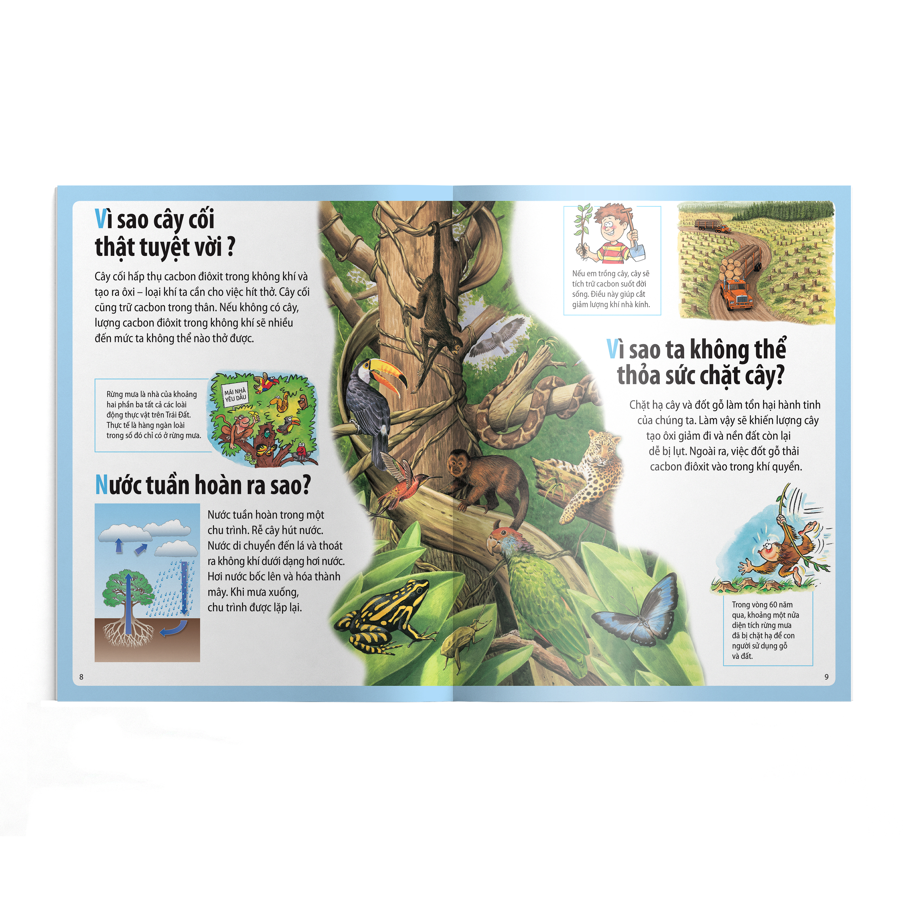 em muốn biết vì sao - có lỗ thủng trên bầu trời và những câu hỏi khác về môi trường