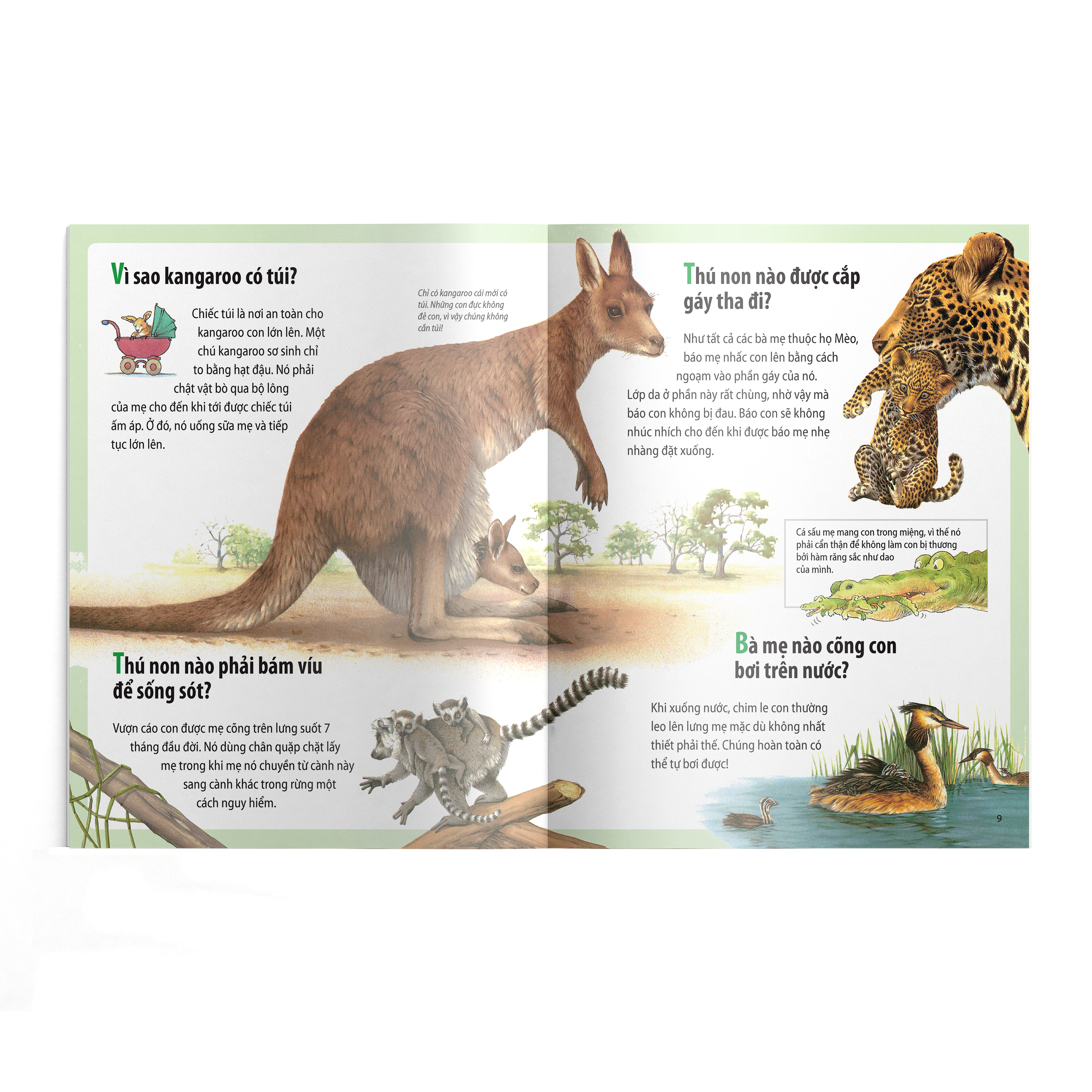 em muốn biết vì sao - kangaroo có túi và những câu hỏi khác về con non (tái bản 2022)