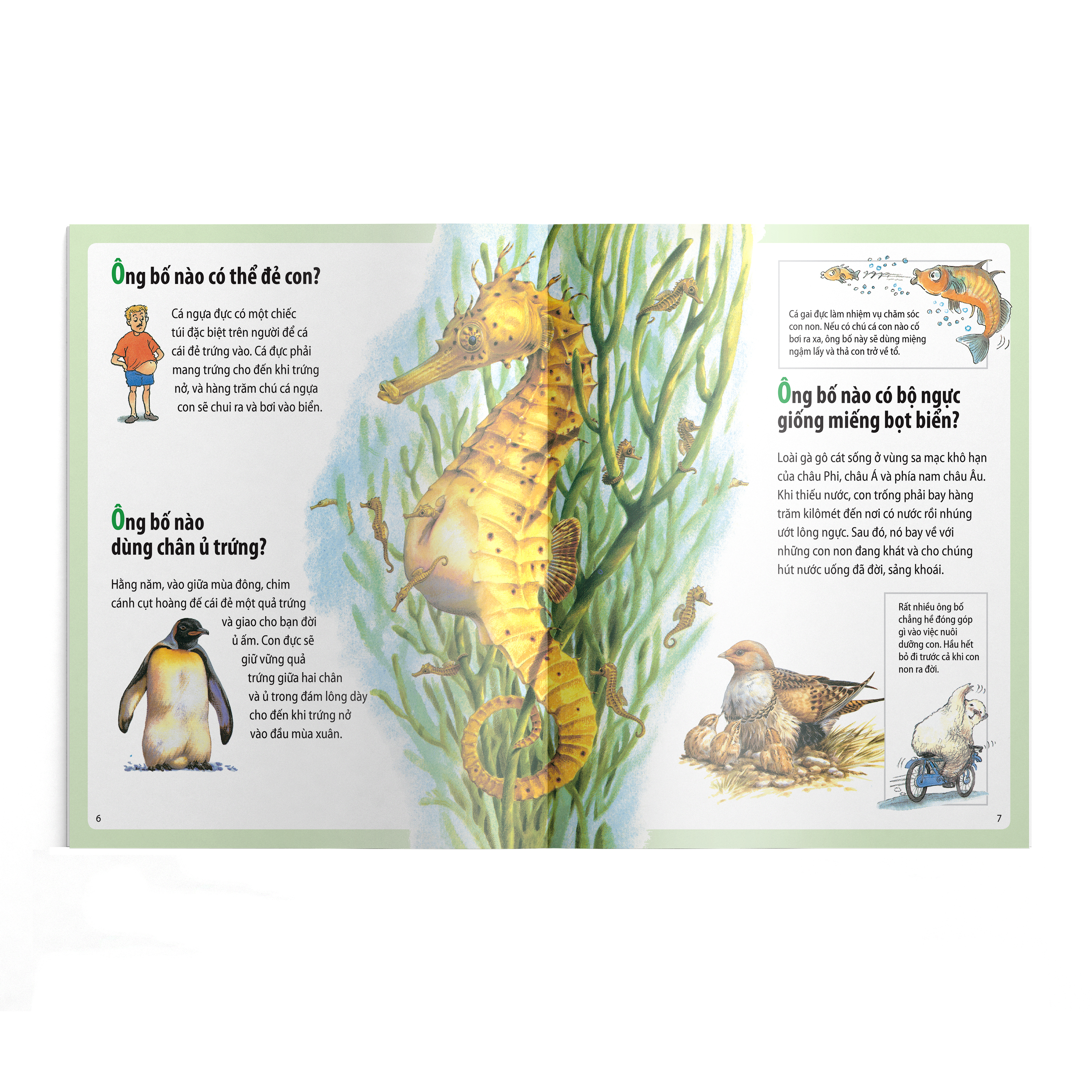 em muốn biết vì sao - kangaroo có túi và những câu hỏi khác về con non (tái bản 2022)